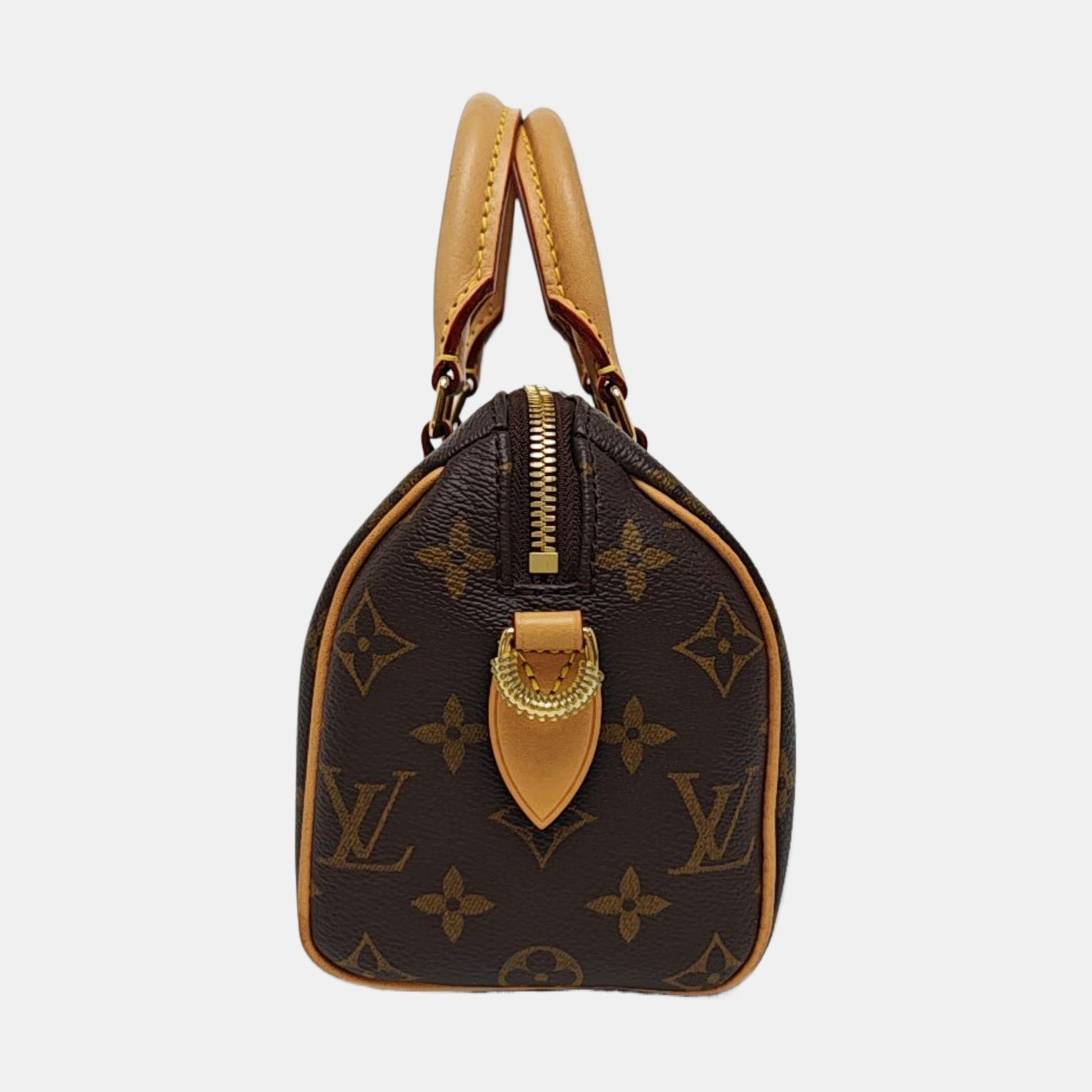 SPEEDY 20 Monogram Coated Canvas Brown