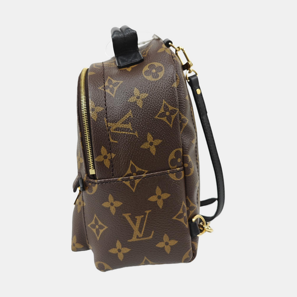 PALM SPRINGS Mini Monogram Coated Canvas Brown