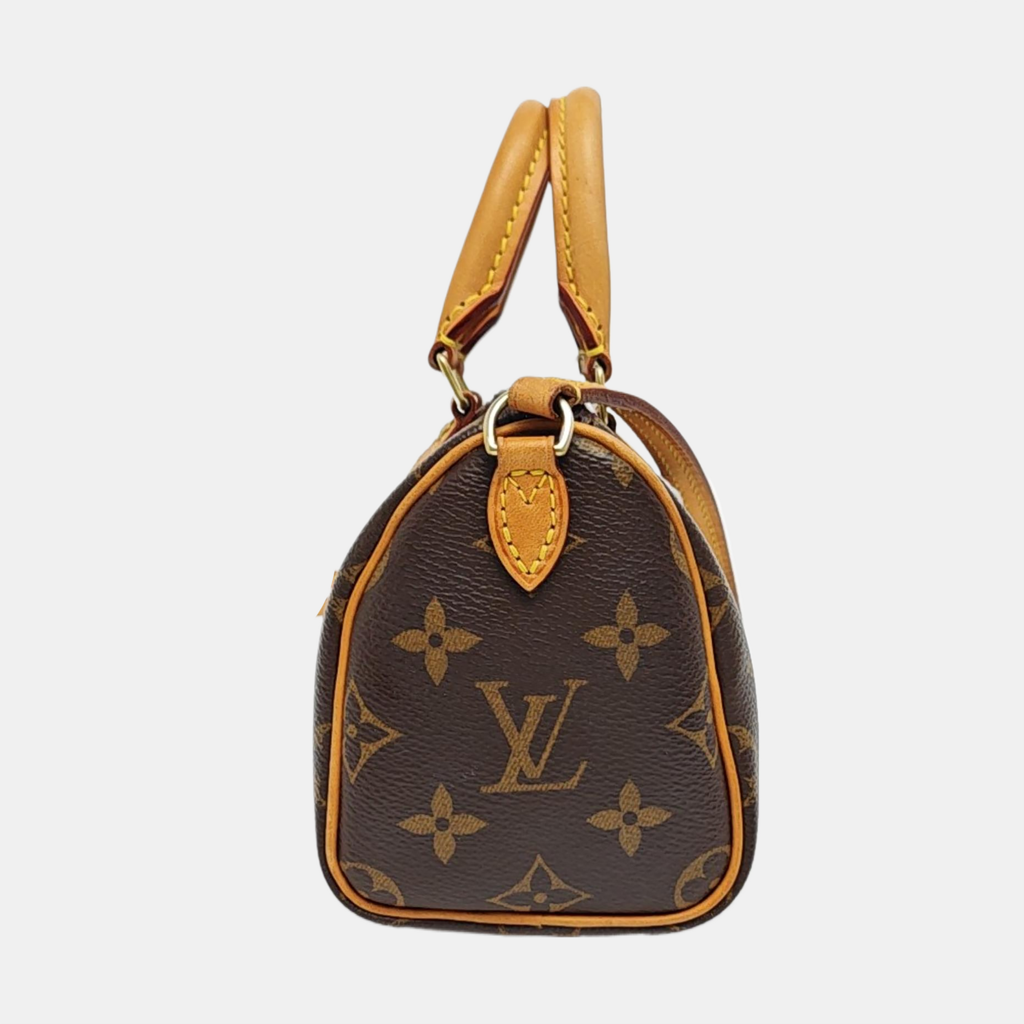 SPEEDY Nano Monogram Coated Canvas Brown