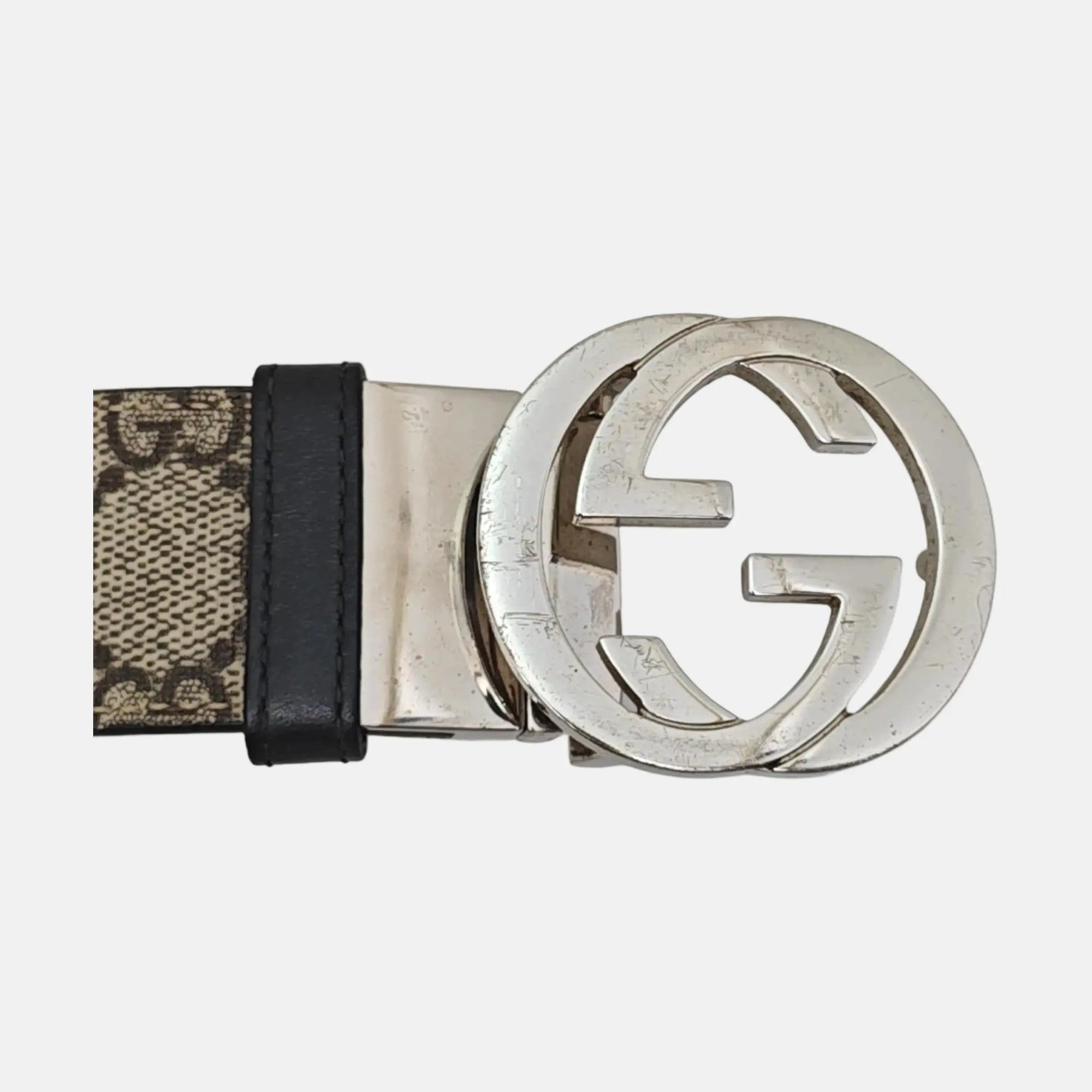 Coated Canvas Belt Brown