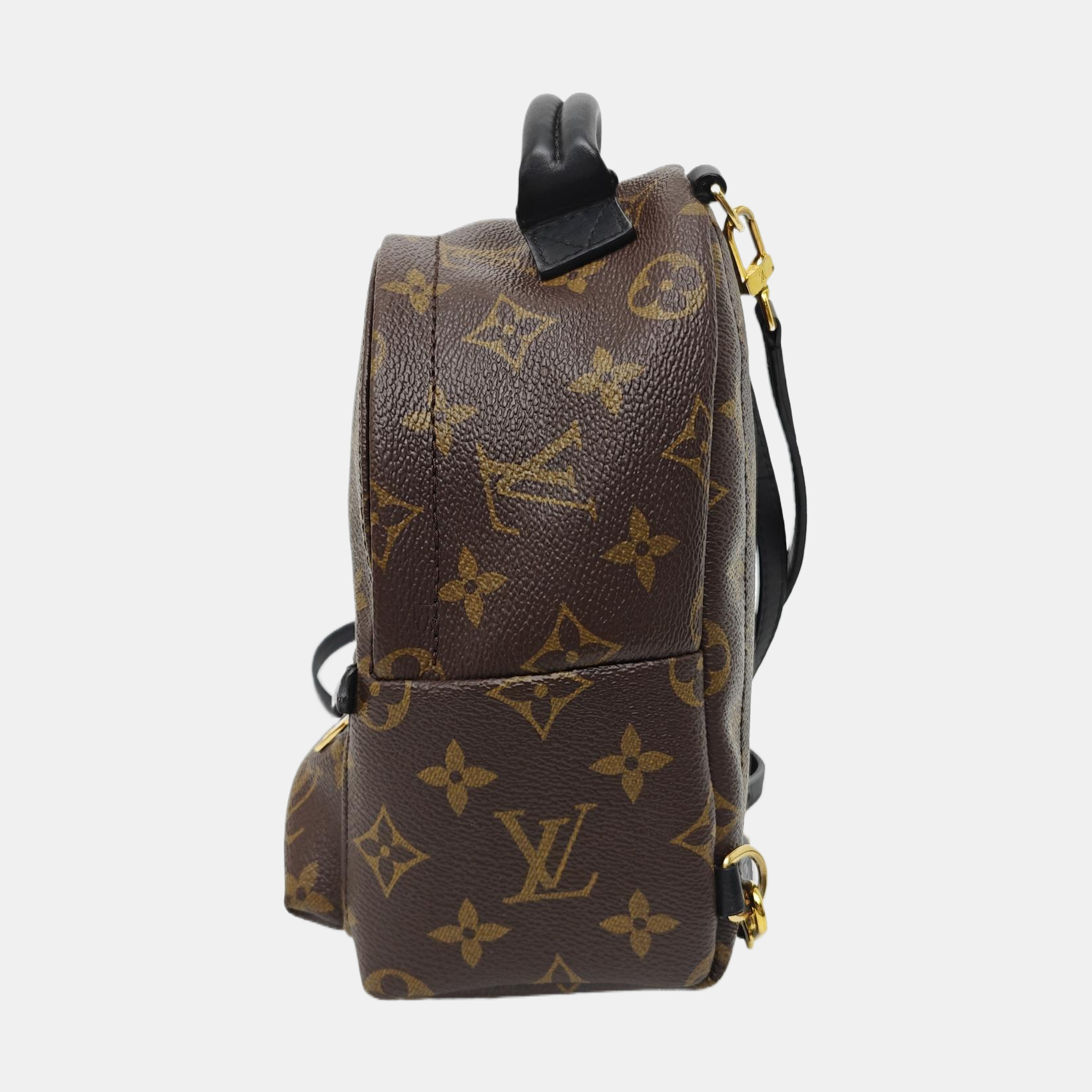 PALM SPRINGS Mini Monogram Coated Canvas Brown