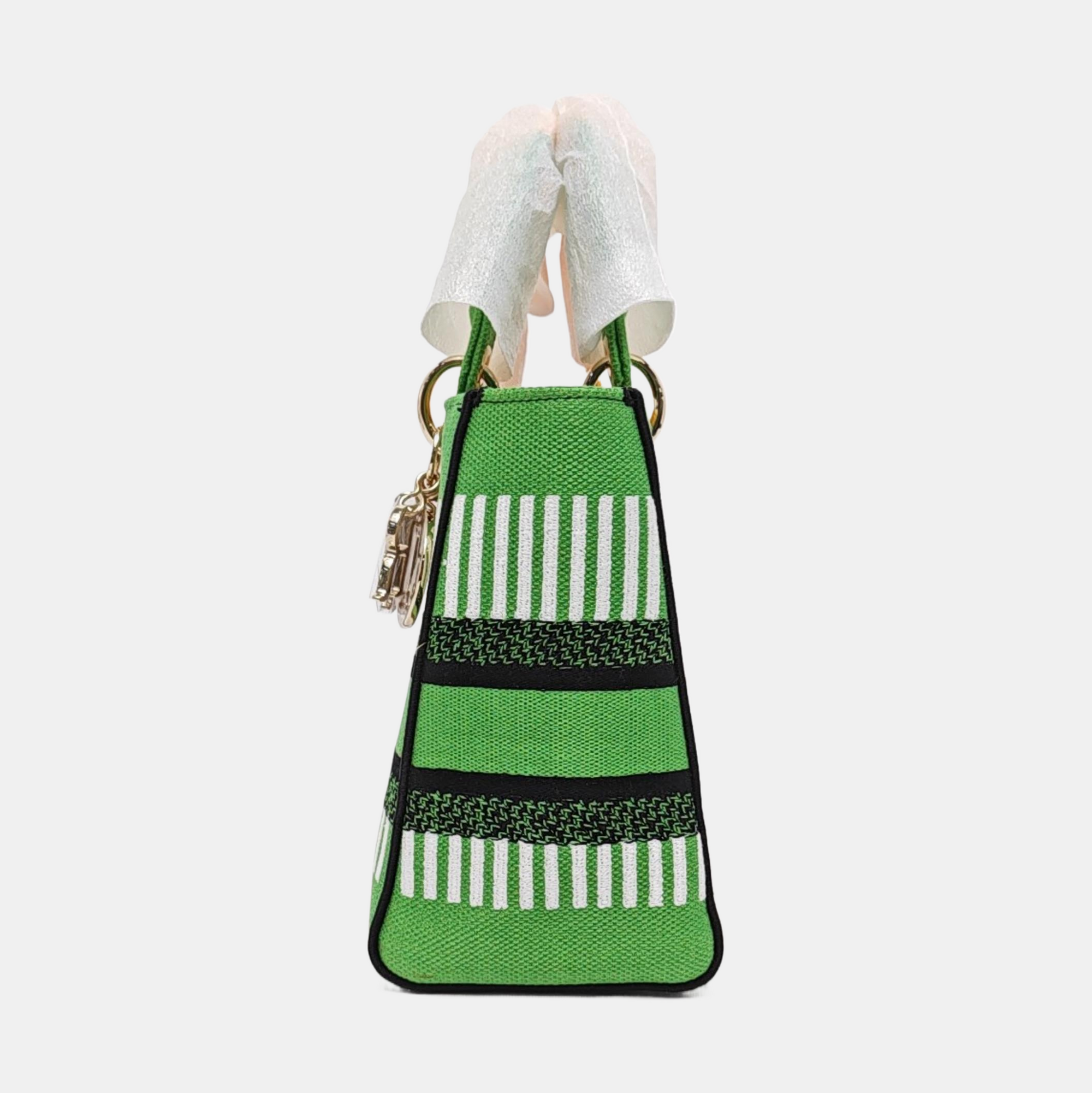 Authenticated pre-owned  Lady D-Lite Medium Fabric Multicolor - Tote Bag at Looply