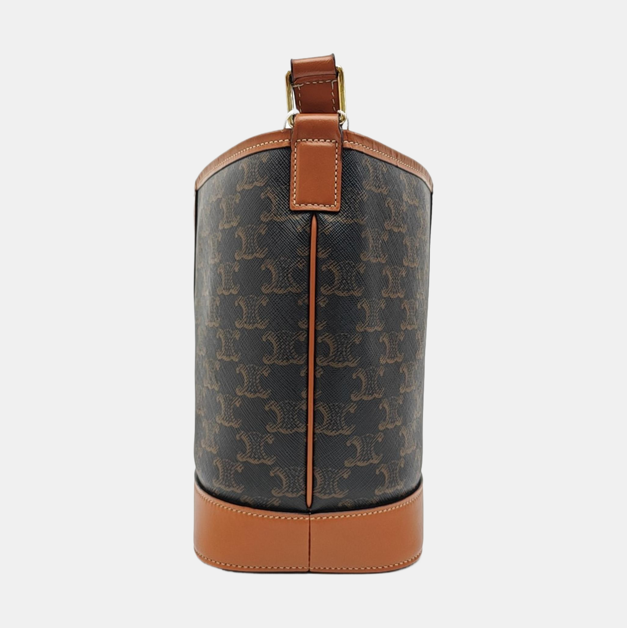TRIOMPHE CANVAS Small Coated Canvas Brown