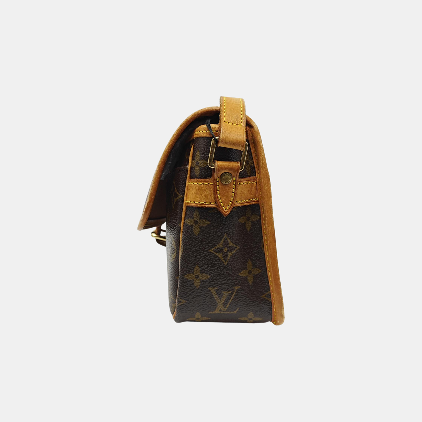 SOLOGNE PM Monogram Coated Canvas Brown