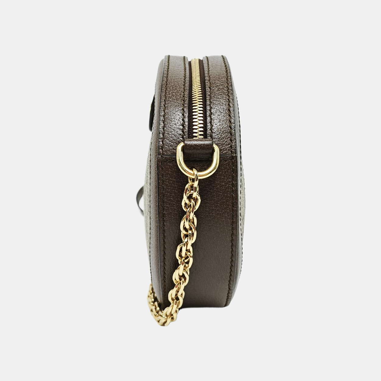 Ophidia Mini Monogram Coated Canvas Beige