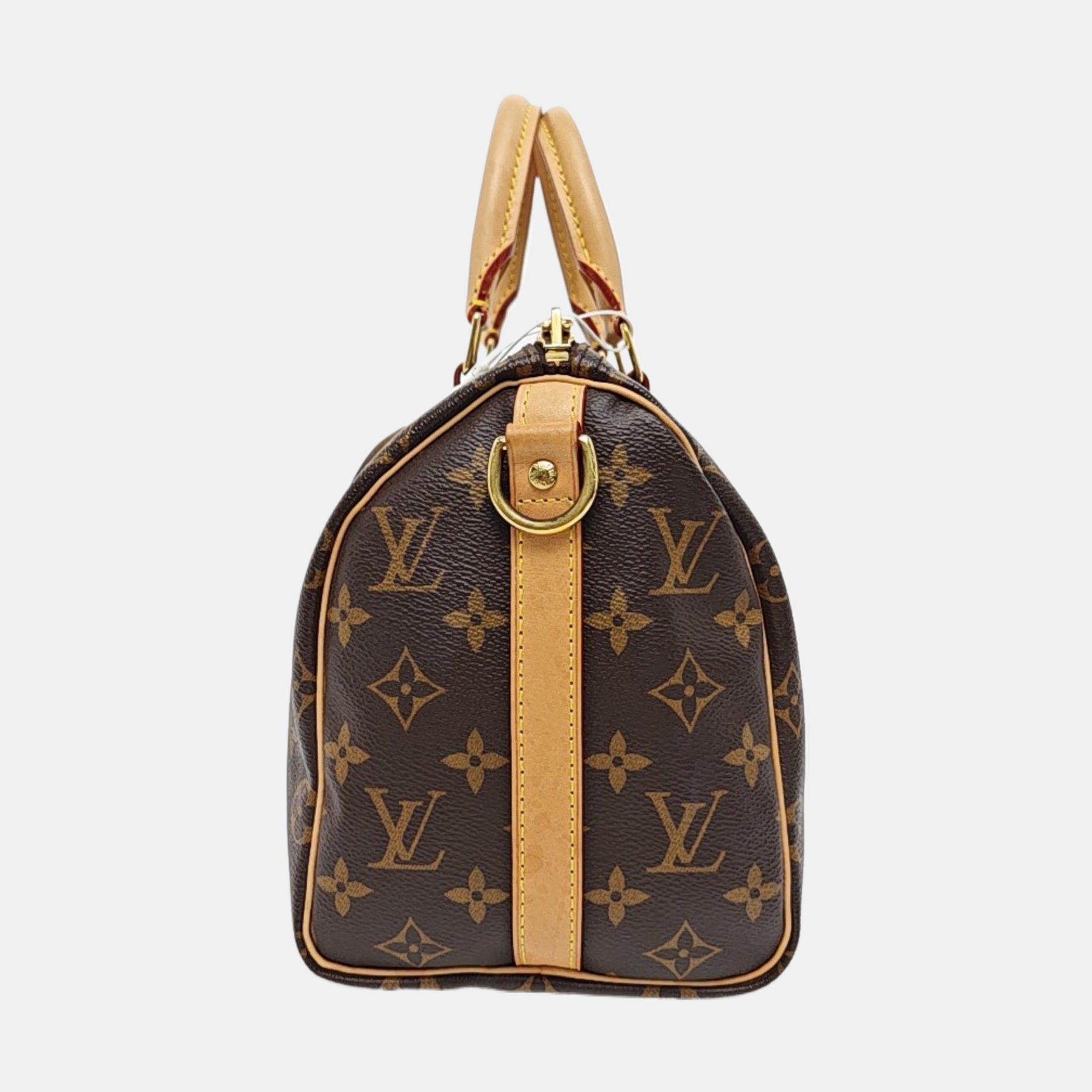 SPEEDY 25 Monogram Coated Canvas Brown