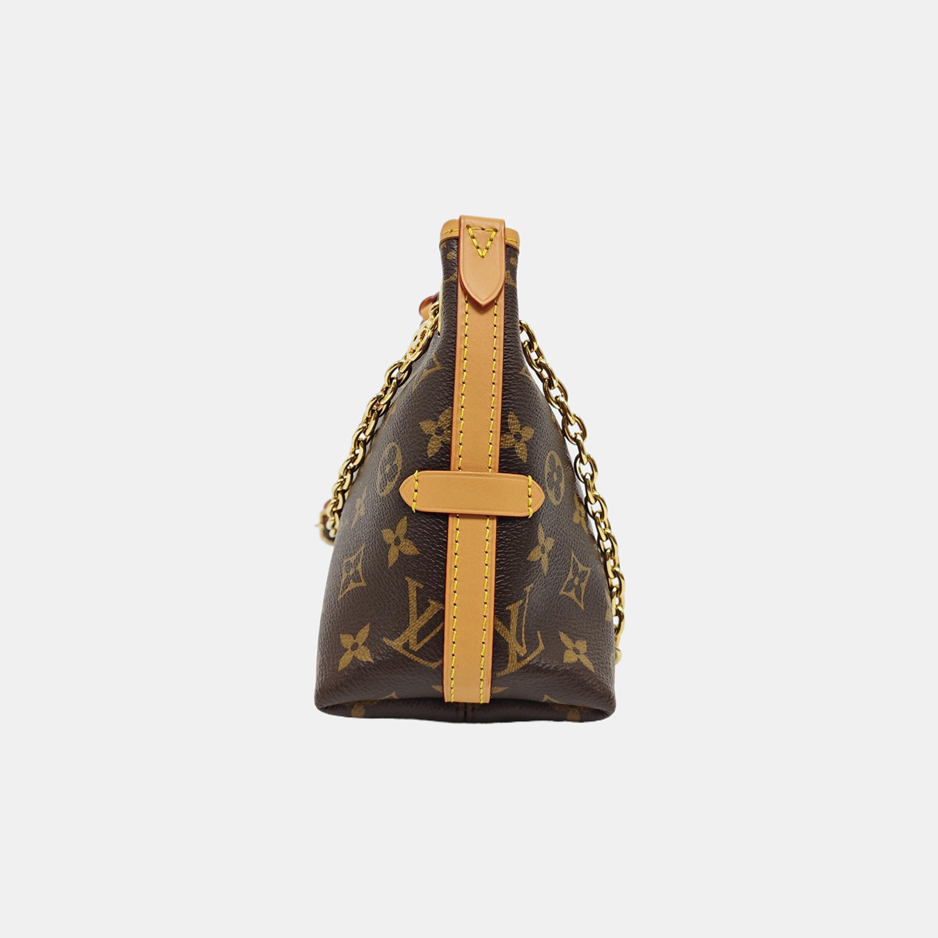 CARRYALL BB Monogram Coated Canvas Brown