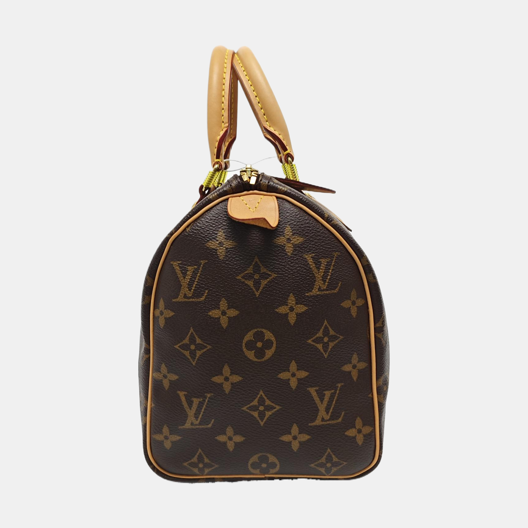 SPEEDY 25 Monogram Coated Canvas Brown