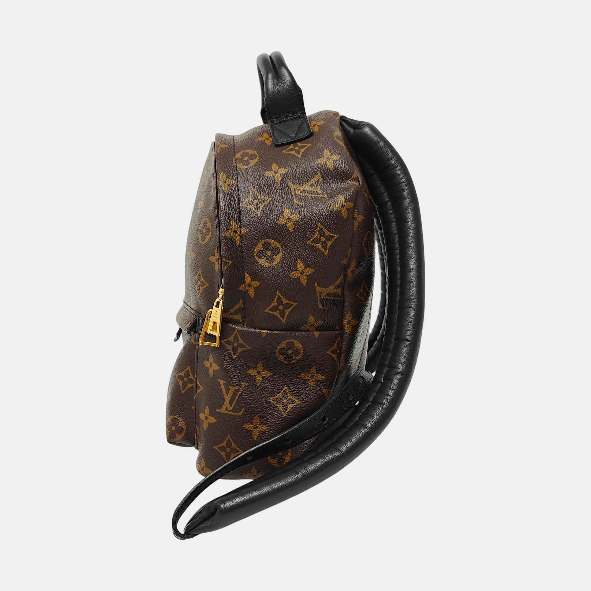 PALM SPRINGS PM Monogram Coated Canvas Brown