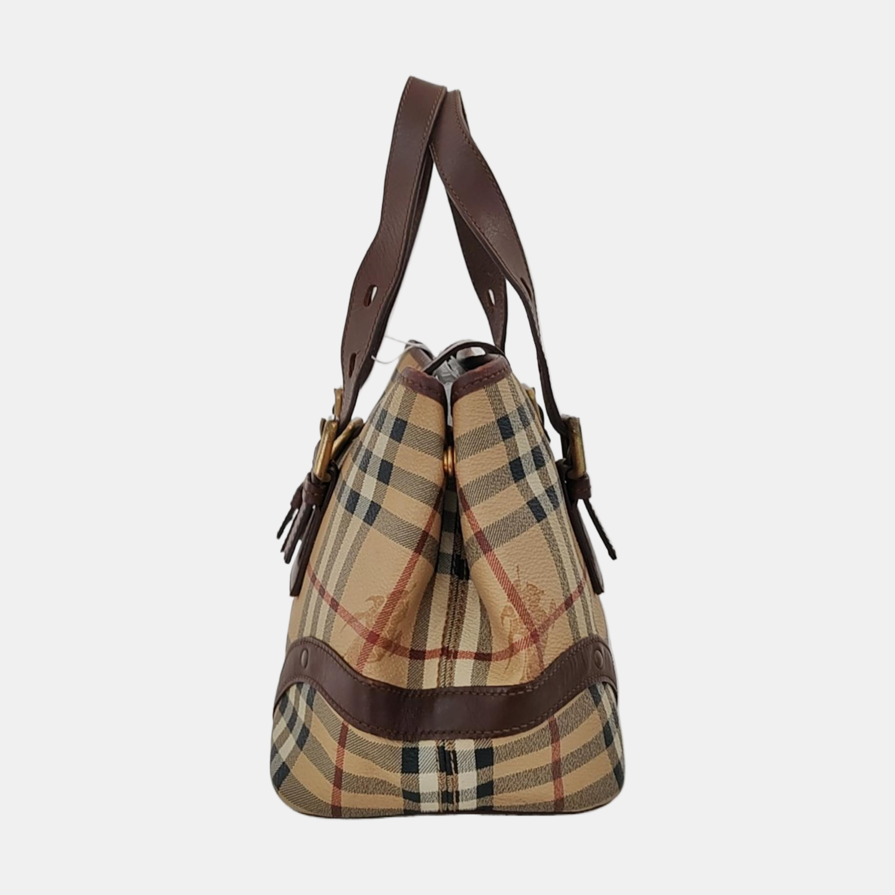 Coated Canvas Beige