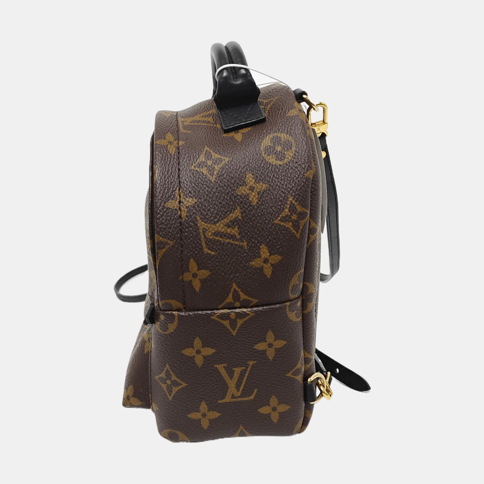 PALM SPRINGS Mini Monogram Coated Canvas Brown