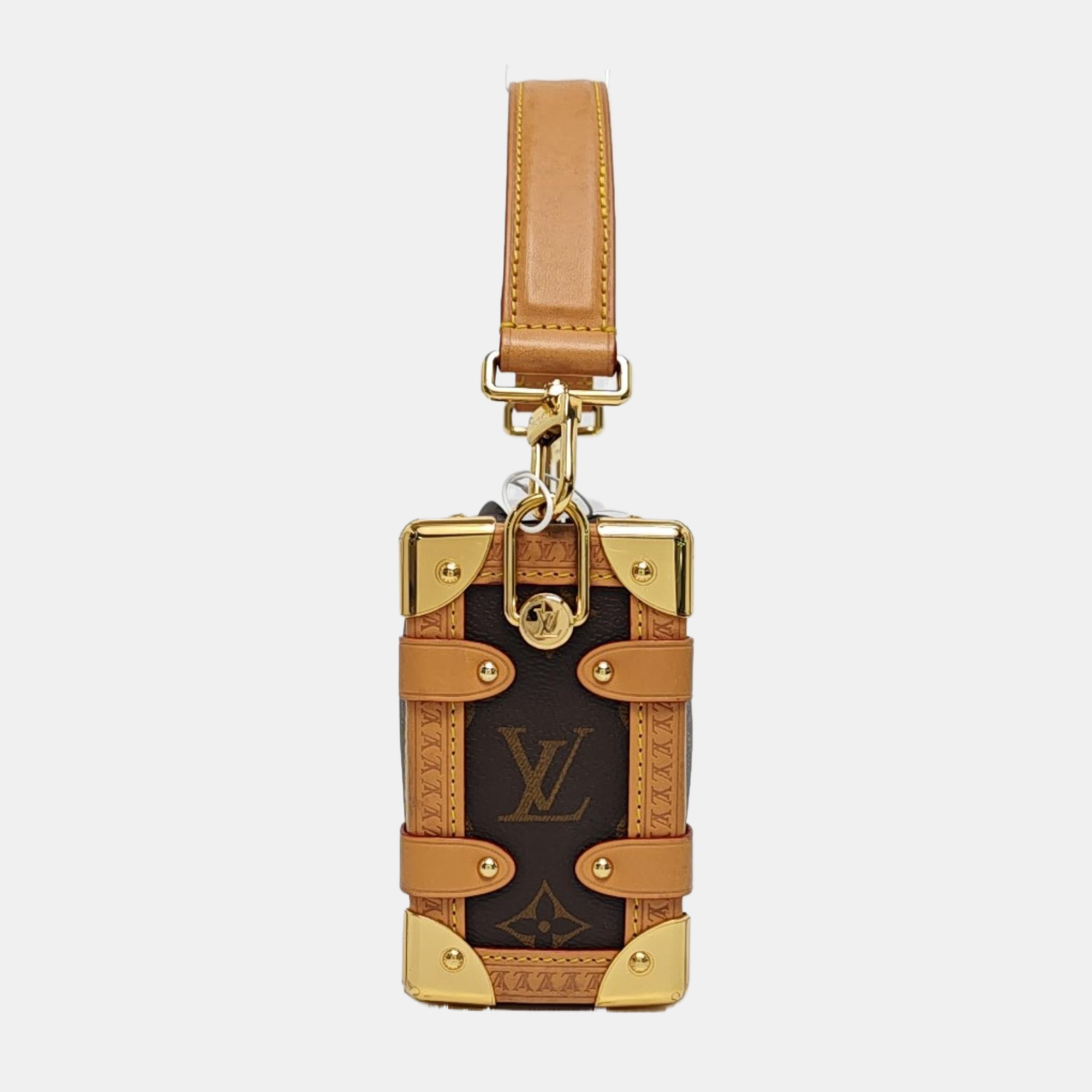 SIDE TRUNK PM Monogram Coated Canvas Brown