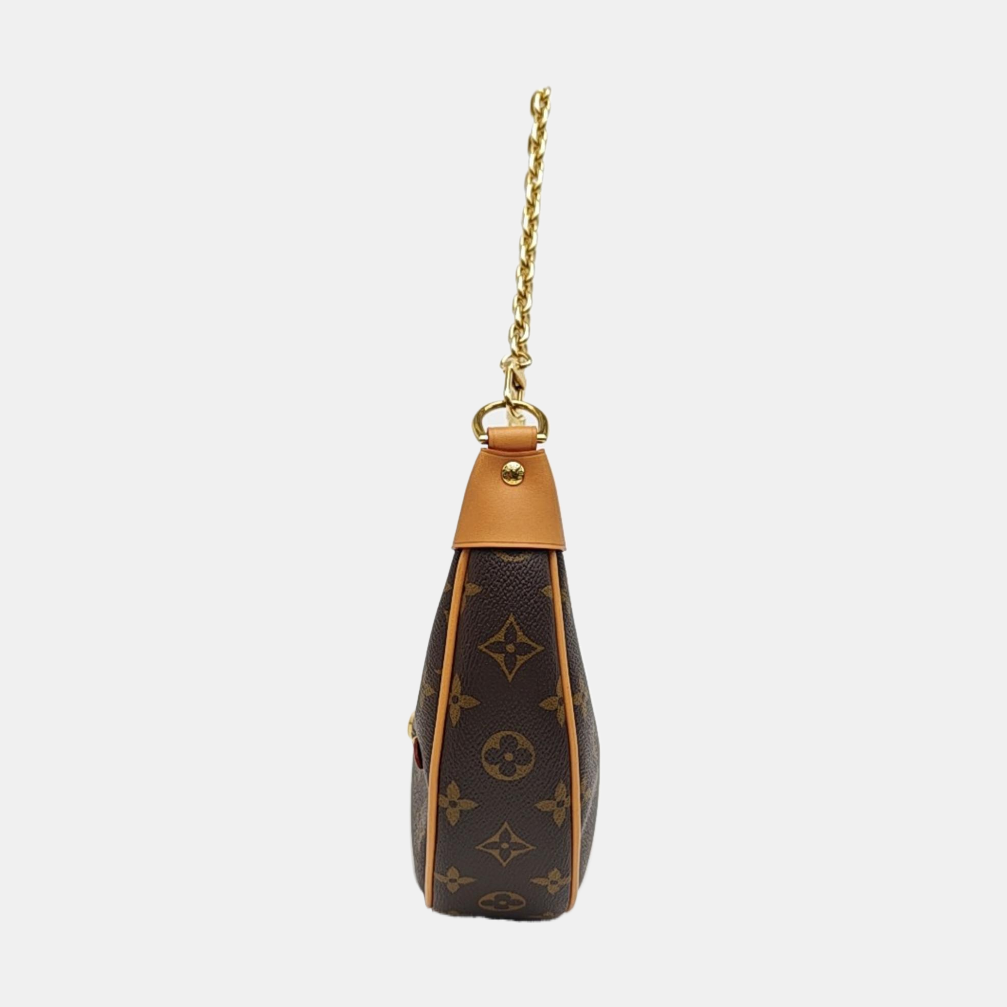 LOOP Monogram Coated Canvas Brown