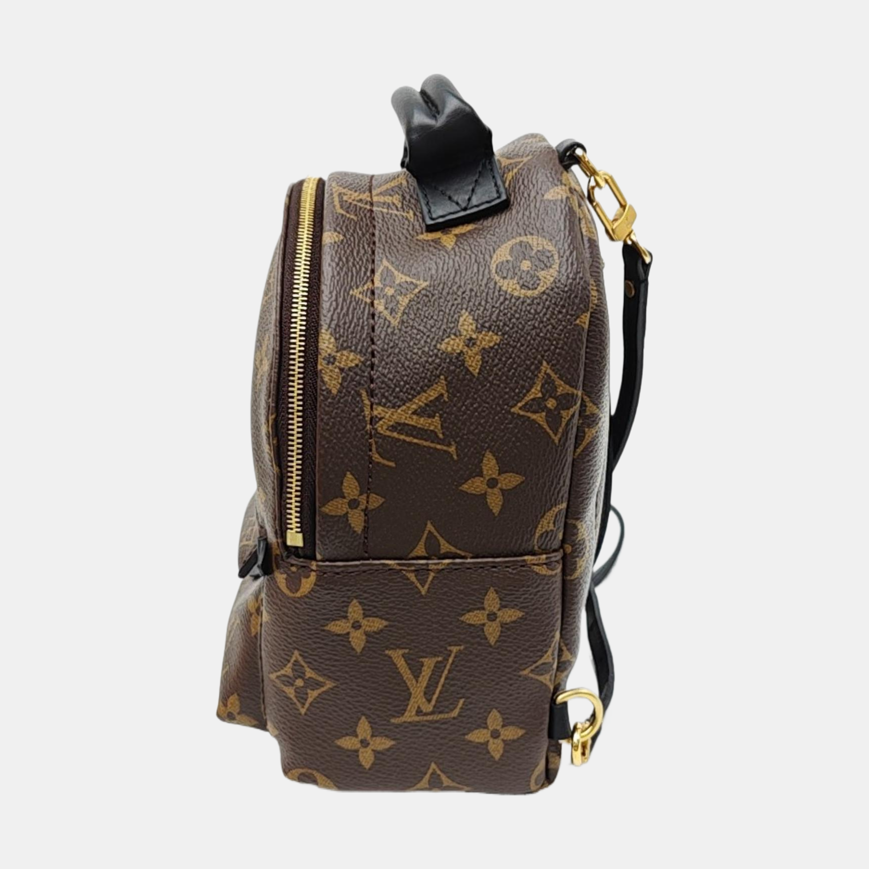 PALM SPRINGS Mini Monogram Coated Canvas Brown