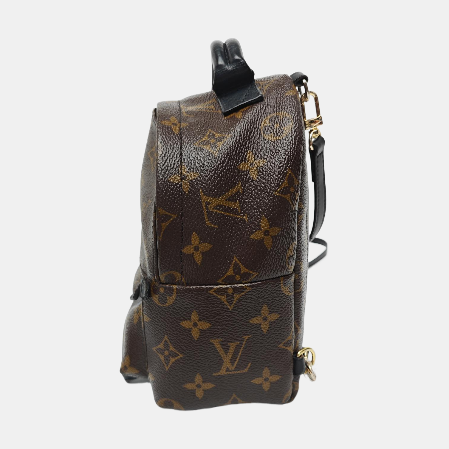PALM SPRINGS Mini Monogram Coated Canvas Brown