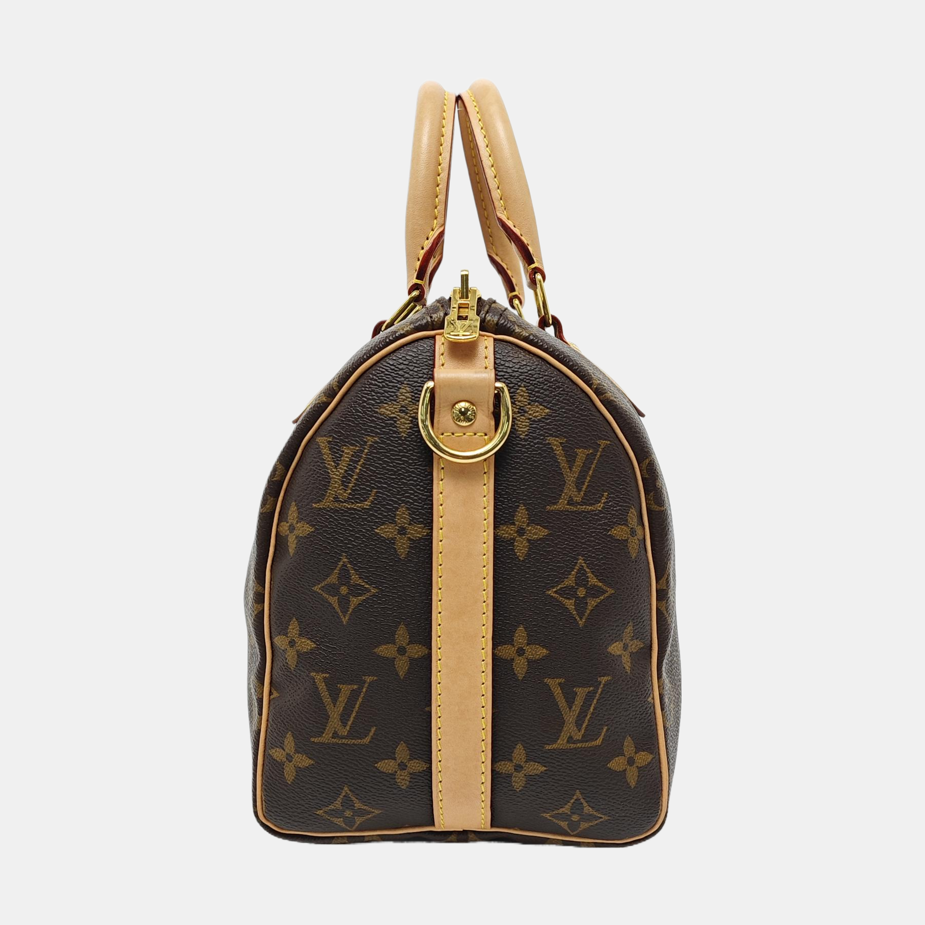 SPEEDY 25 Monogram Coated Canvas Brown