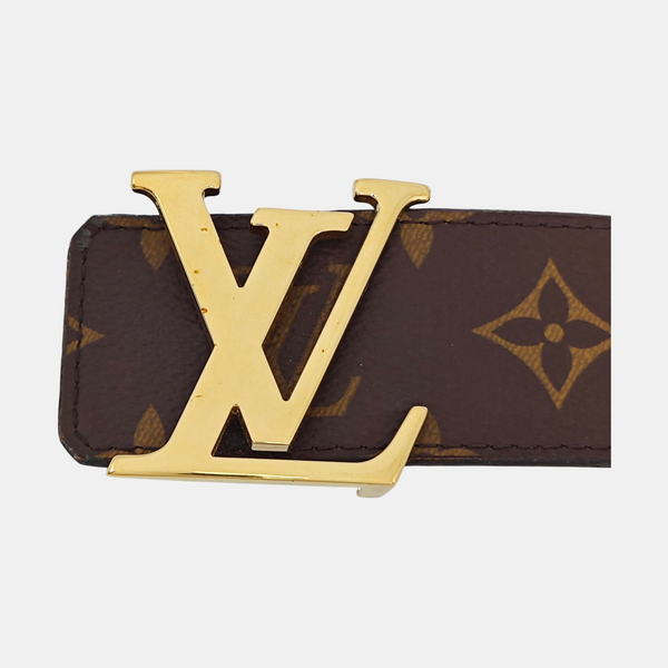Coated Canvas Belt Brown