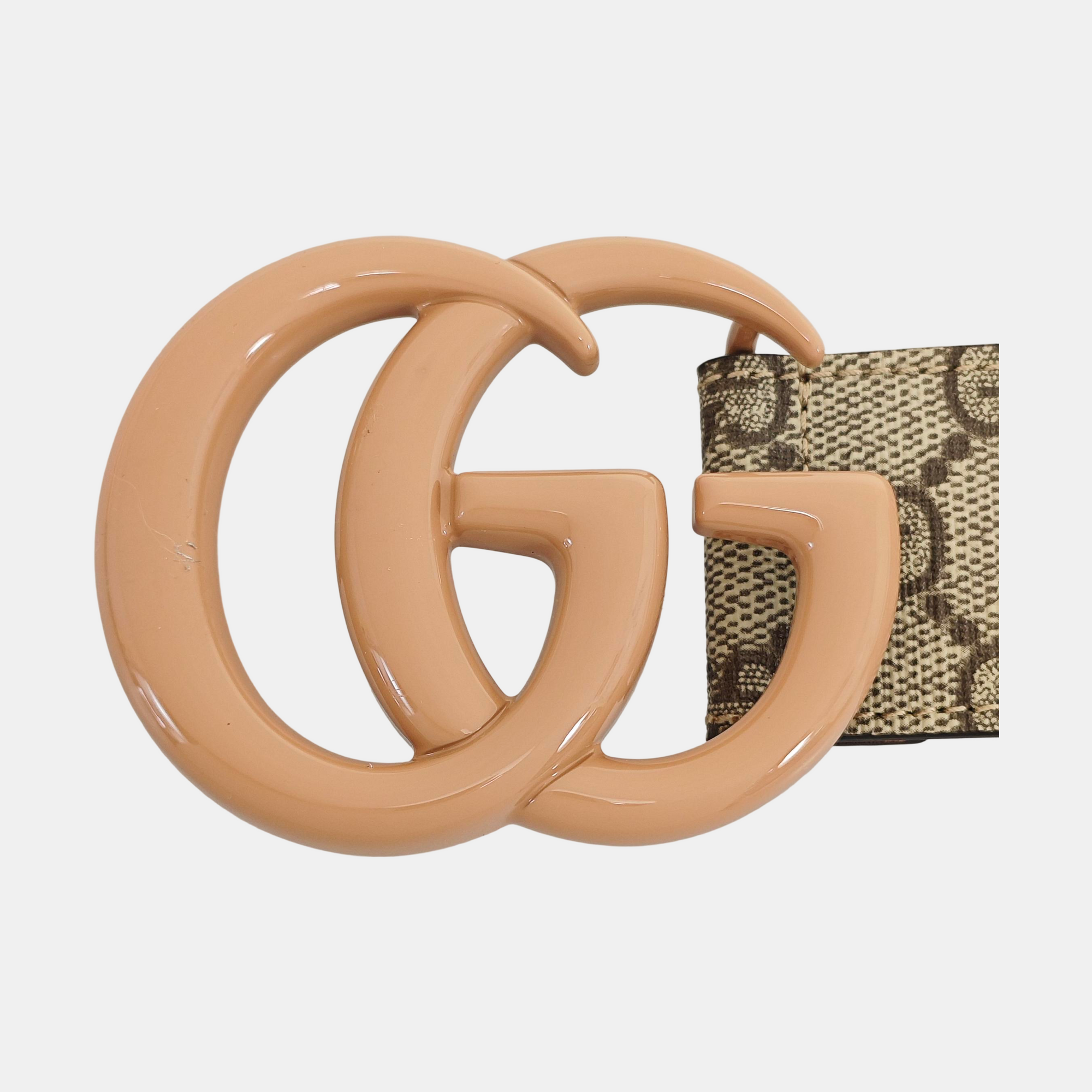 Coated Canvas Belt Beige