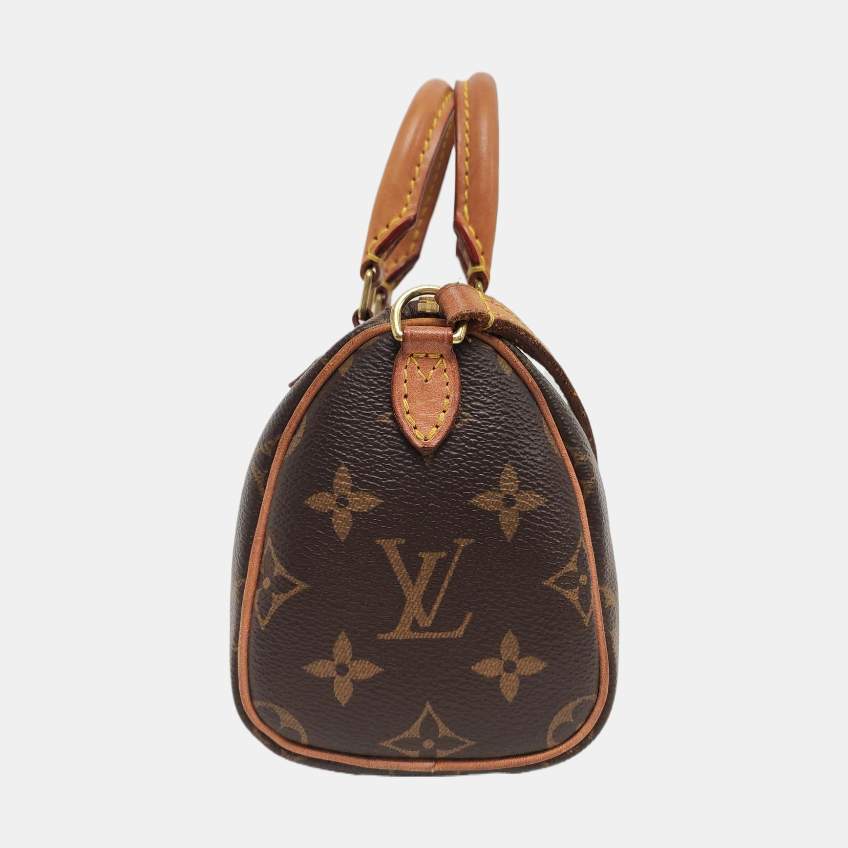 SPEEDY Nano Monogram Coated Canvas Brown
