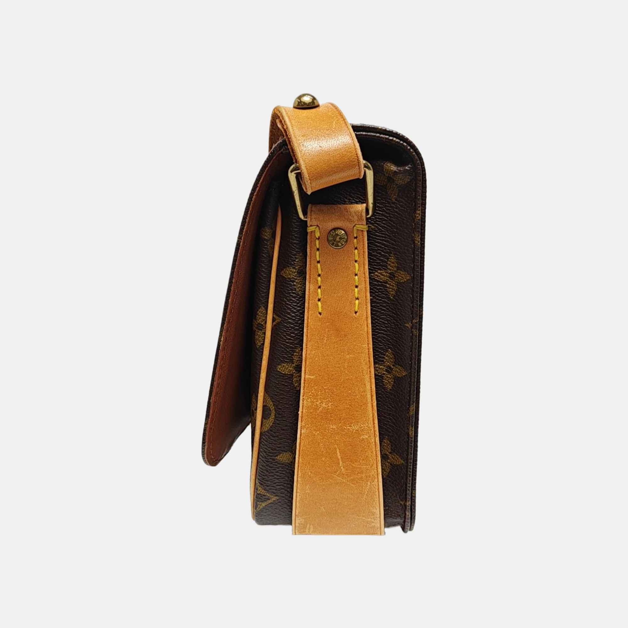 CARTOUCHIERE MM Monogram Coated Canvas Brown