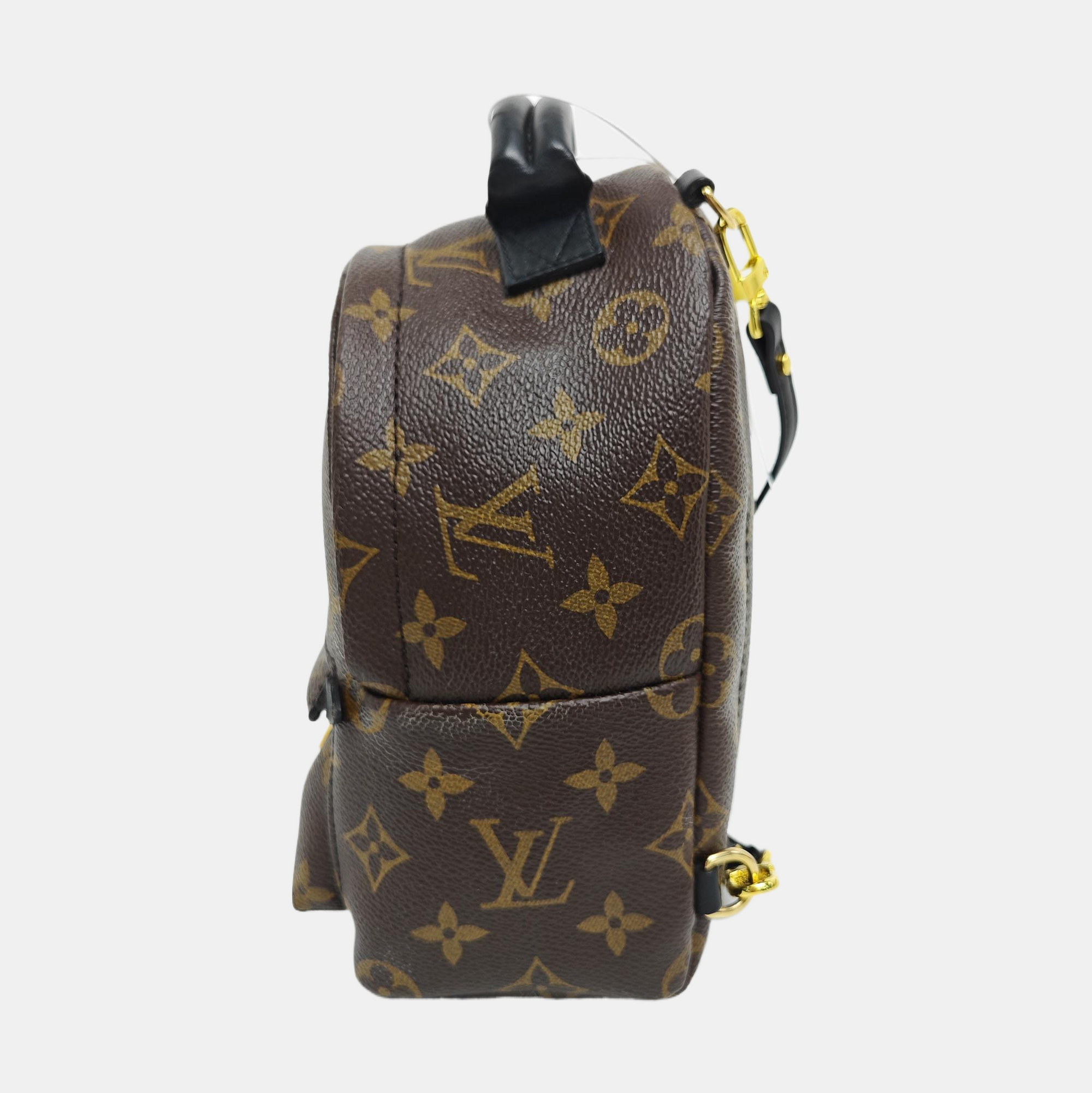 PALM SPRINGS Mini Monogram Coated Canvas Brown
