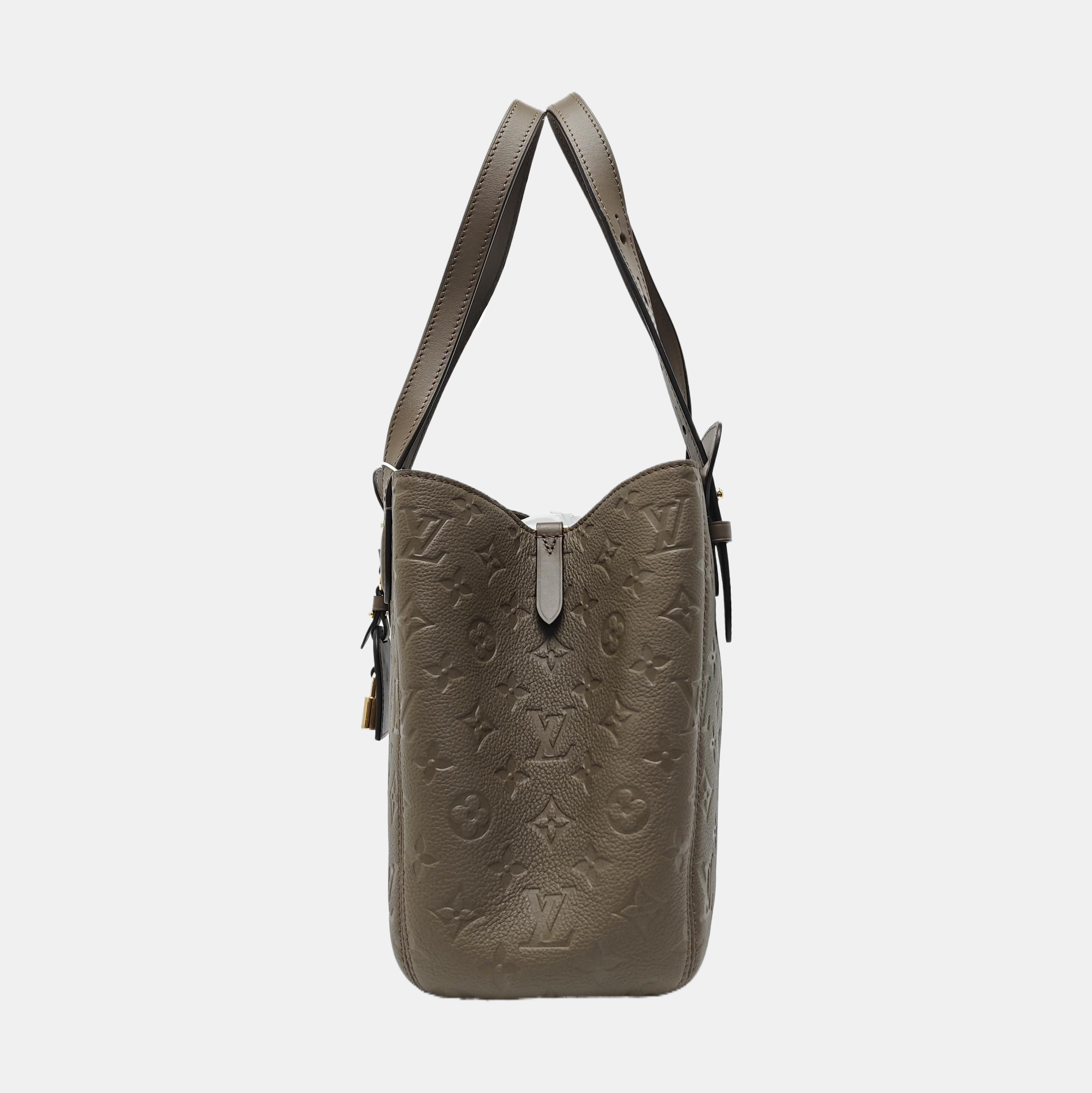 ALL IN ONE PM Monogram Calfskin Gray