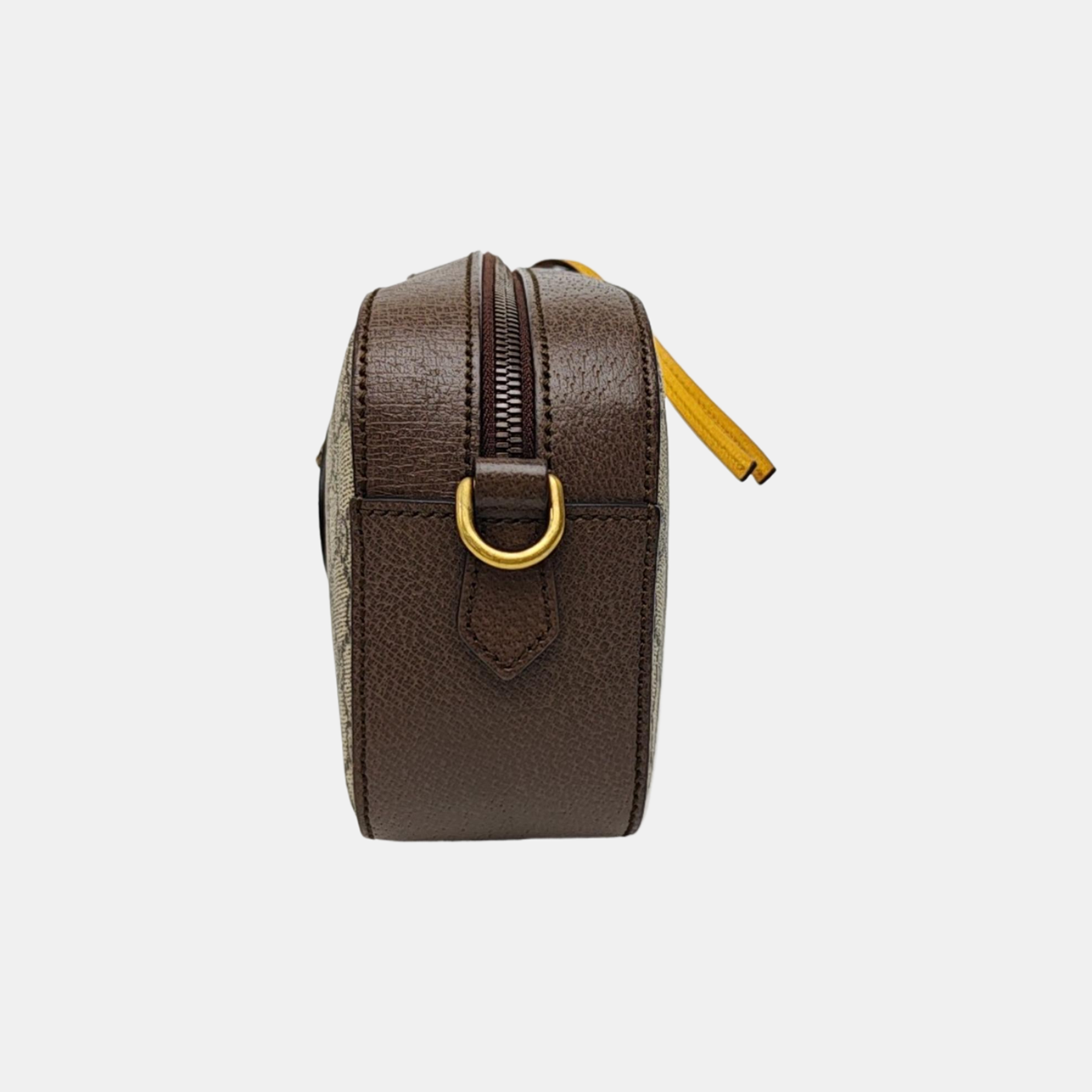 Neo Vintage Monogram Coated Canvas Beige