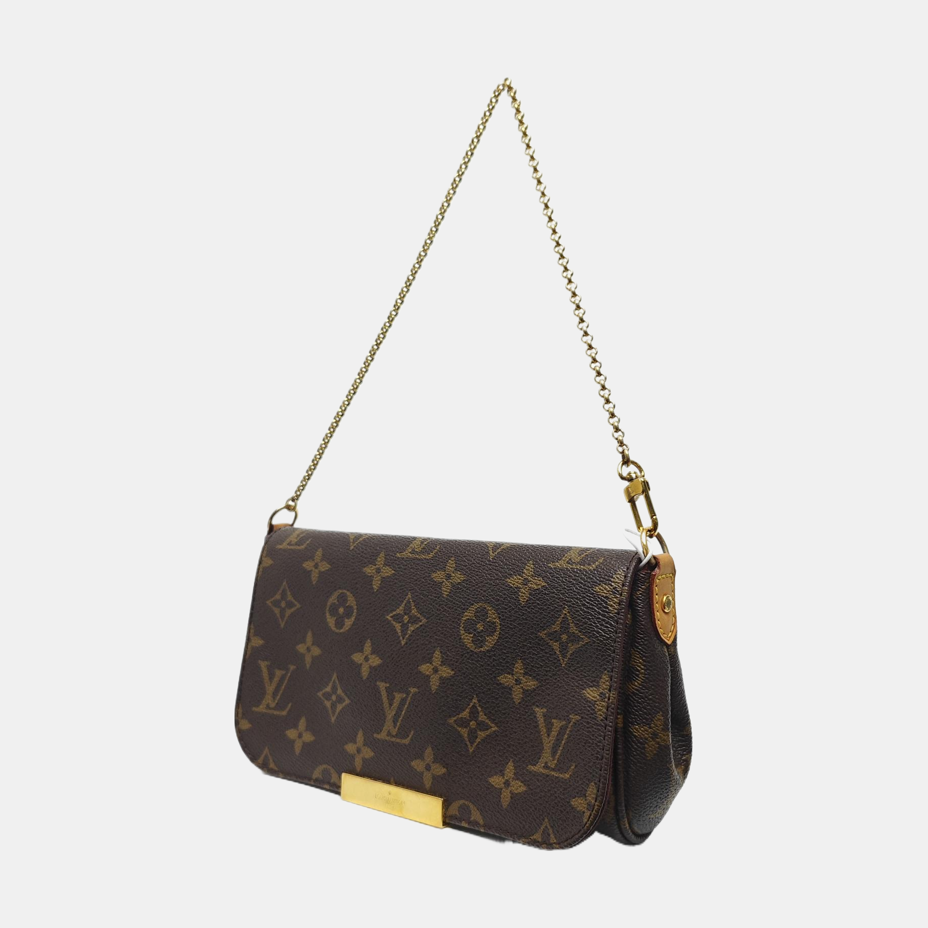 FAVORITE PM Monogram Coated Canvas Brown