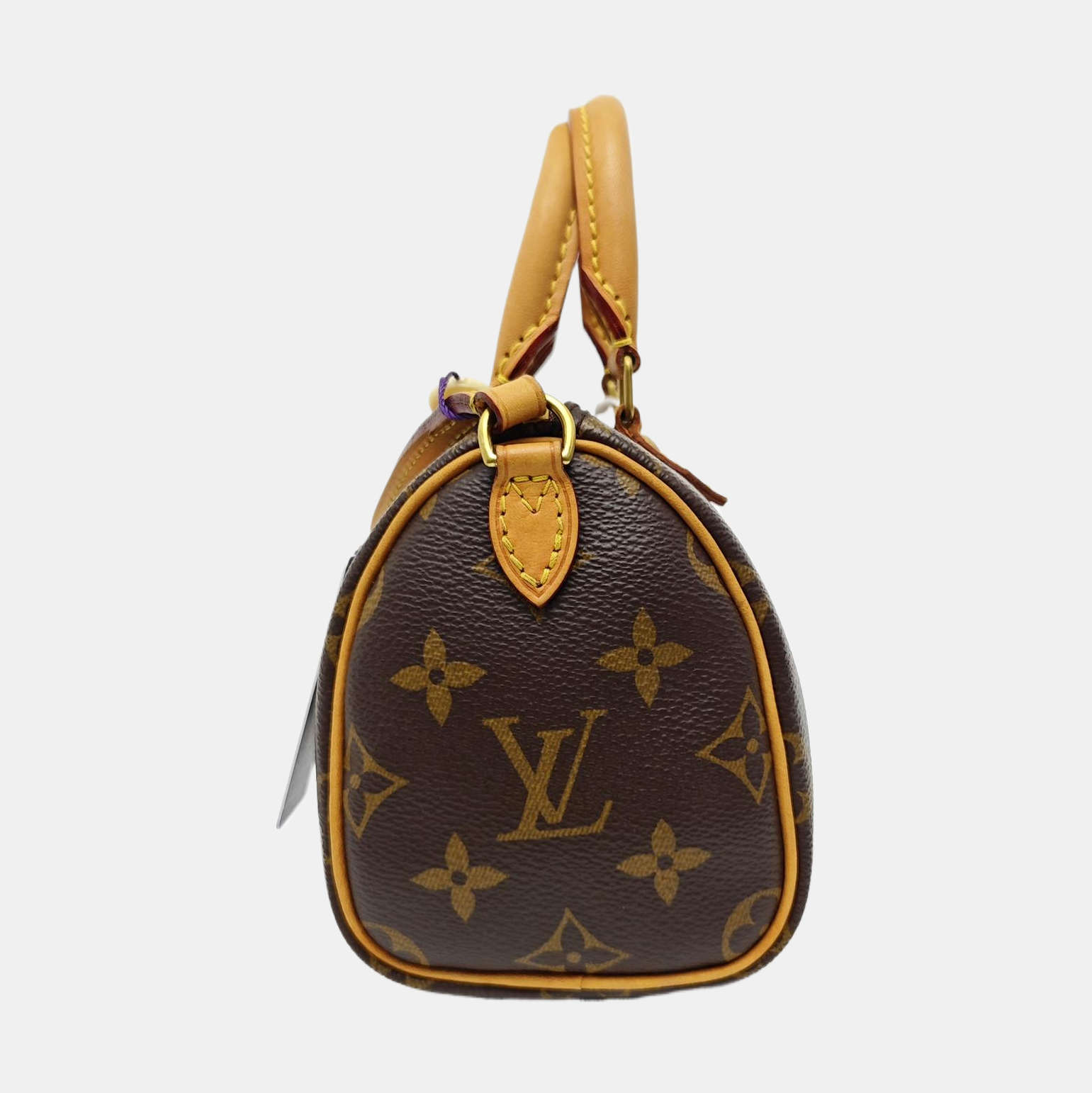 SPEEDY Nano Monogram Coated Canvas Brown
