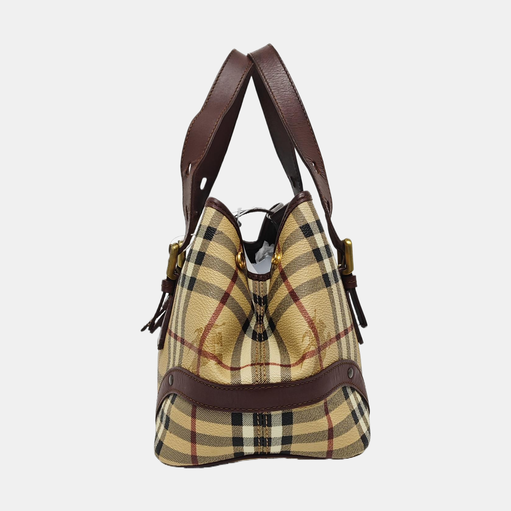 Coated Canvas Beige