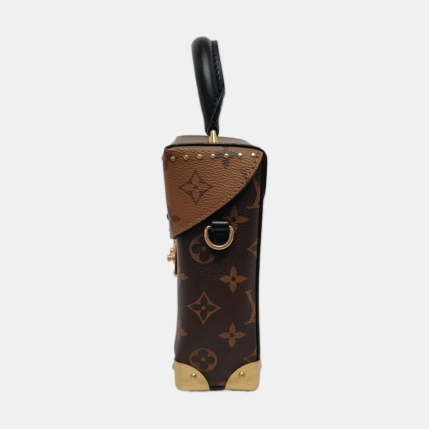 CAMERA BOX Monogram Coated Canvas Brown