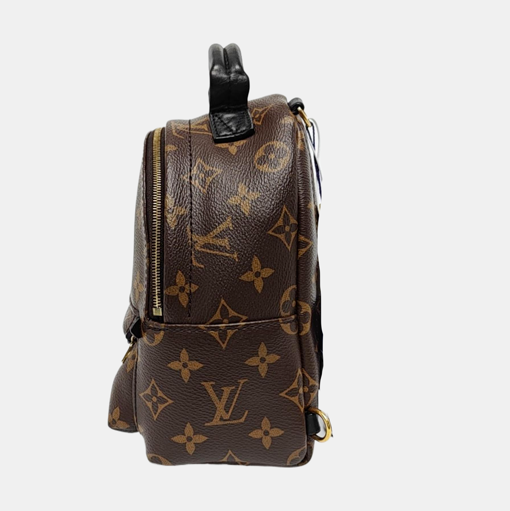 PALM SPRINGS Mini Monogram Coated Canvas Brown