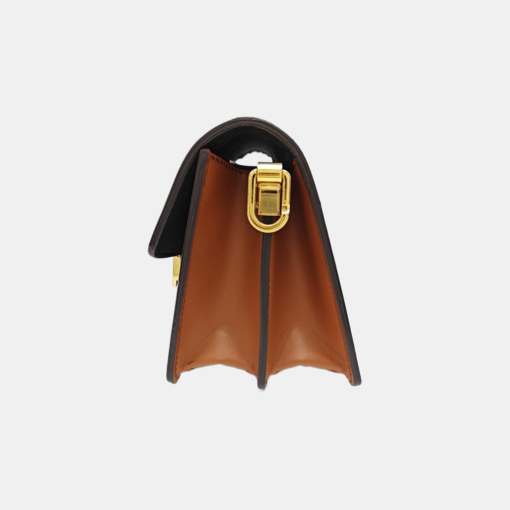 DAUPHINE Mini Monogram Coated Canvas Brown