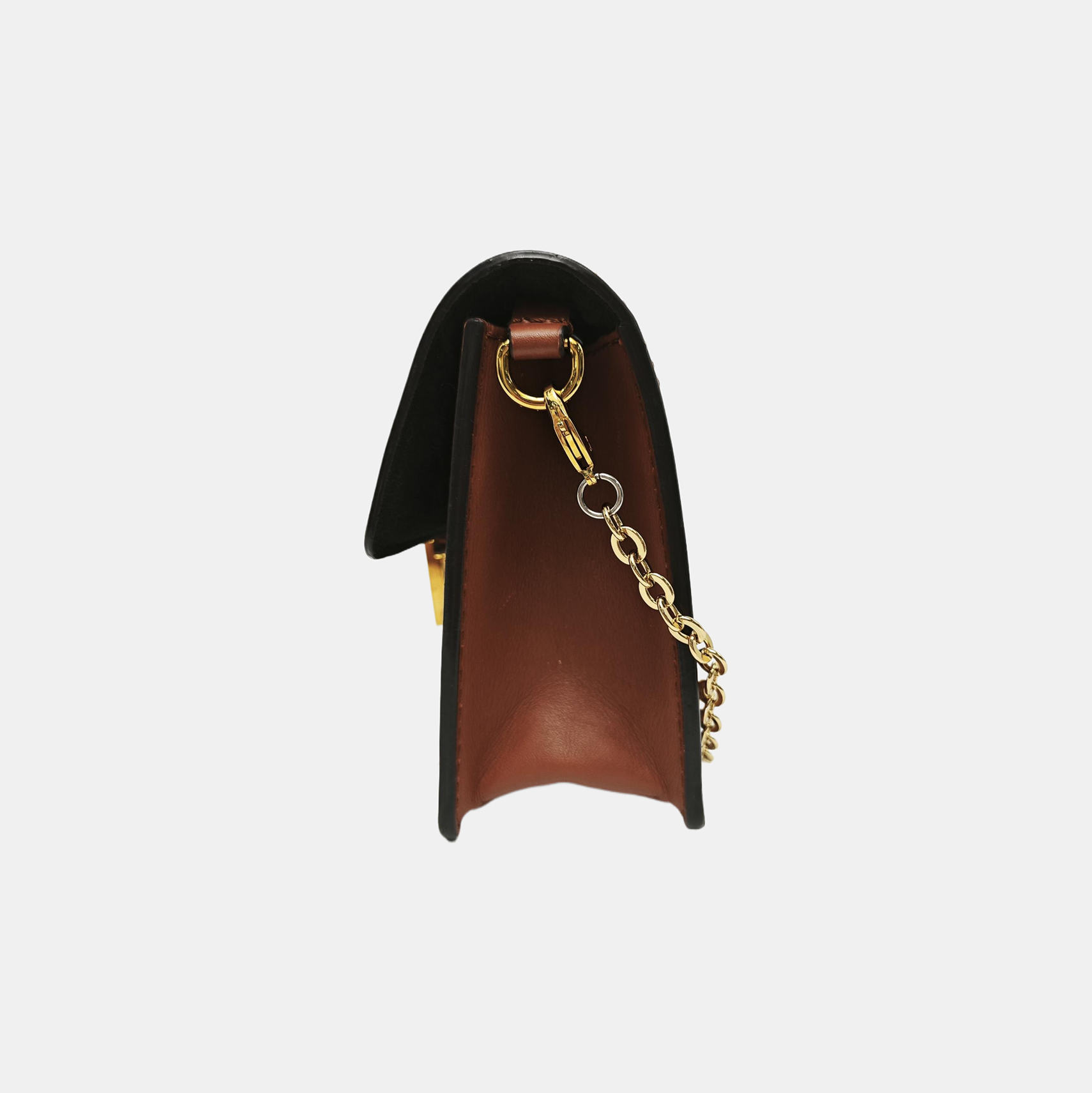 DAUPHINE WOC Monogram Coated Canvas Brown