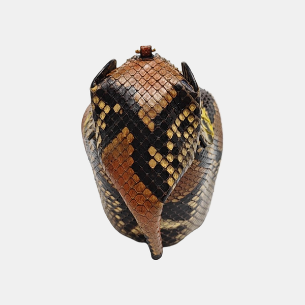 Animals Python Multicolor