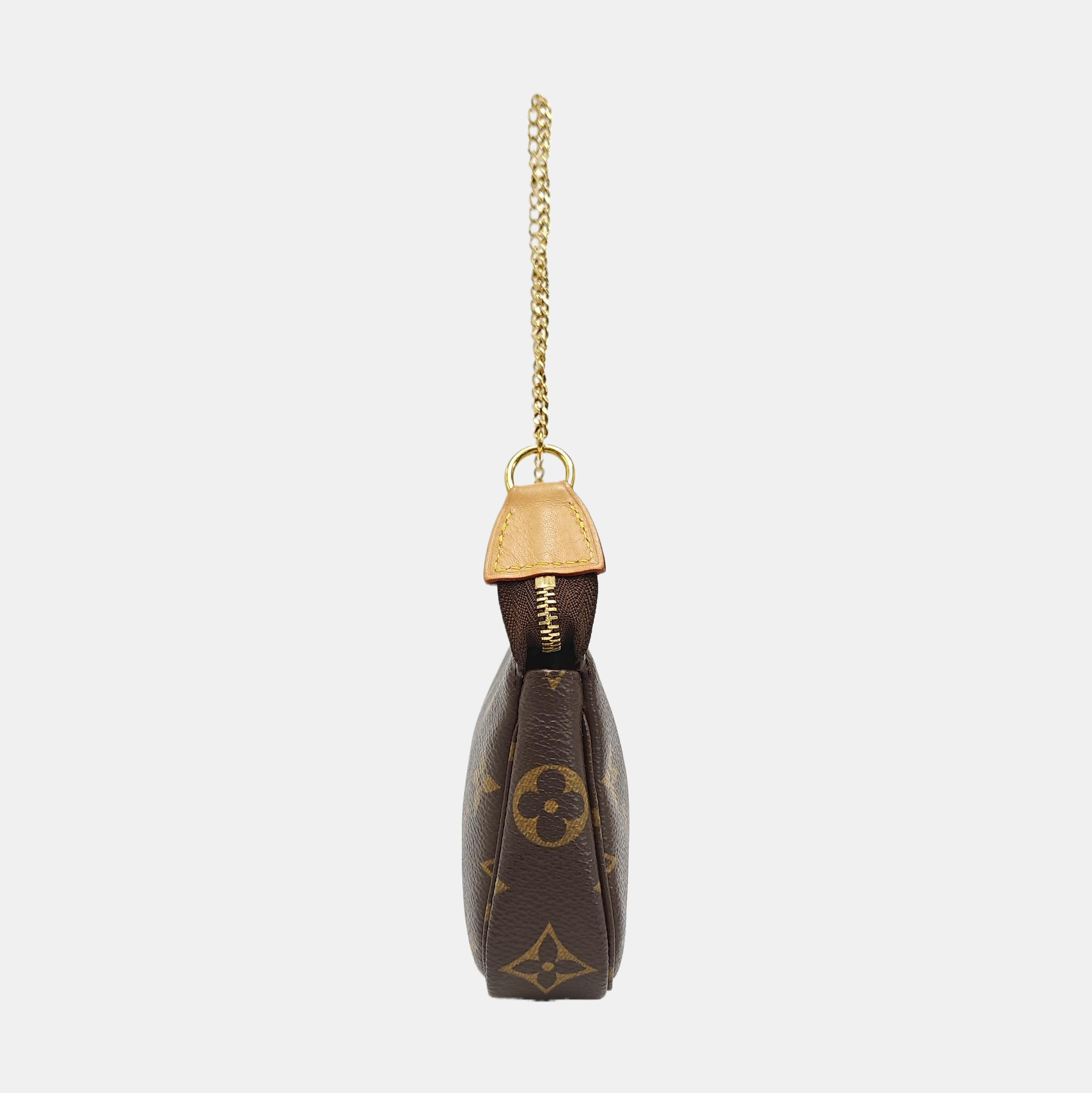 ACCESSOIRES Mini Monogram Coated Canvas Brown