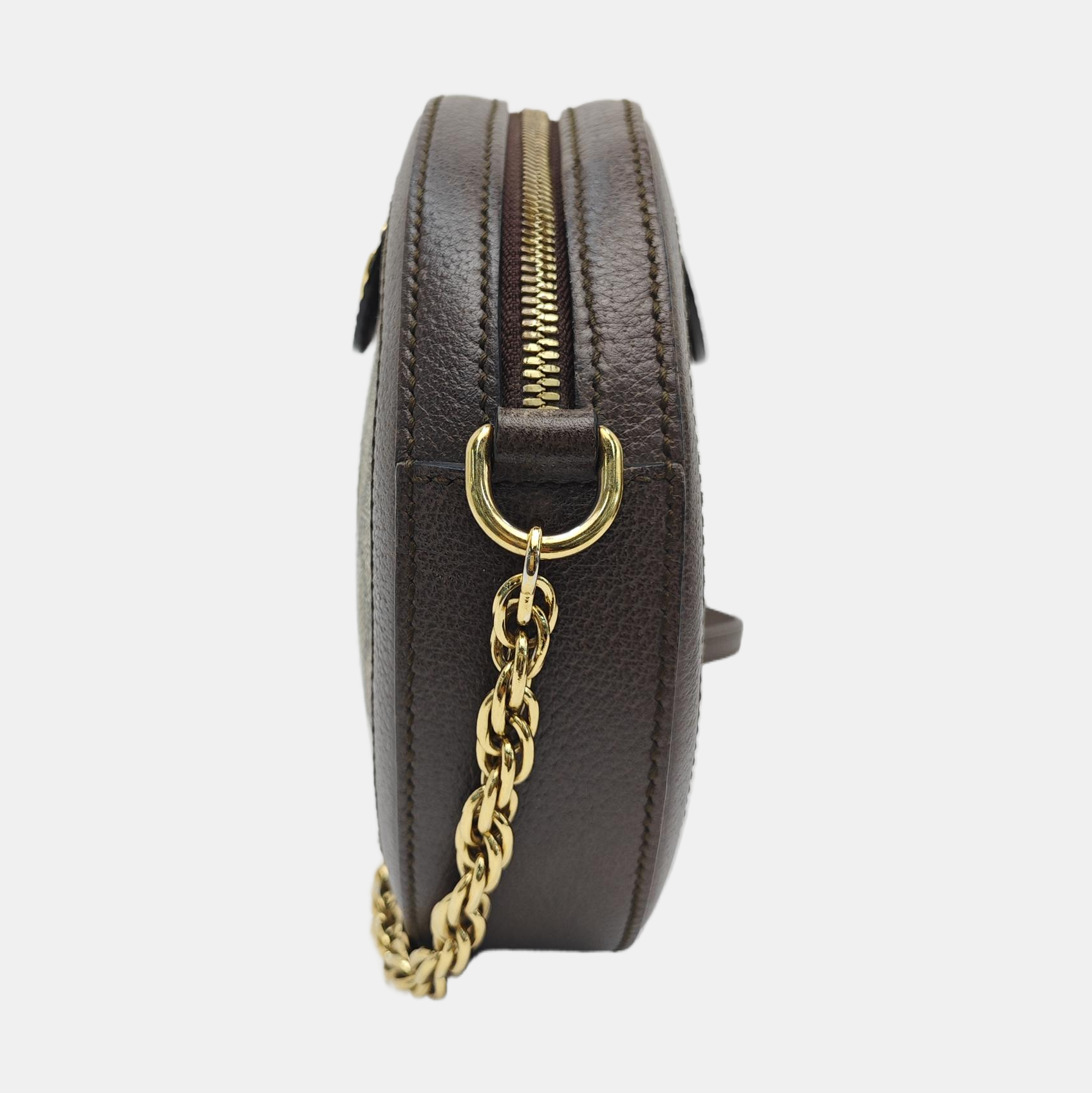 Ophidia Mini Monogram Coated Canvas Beige