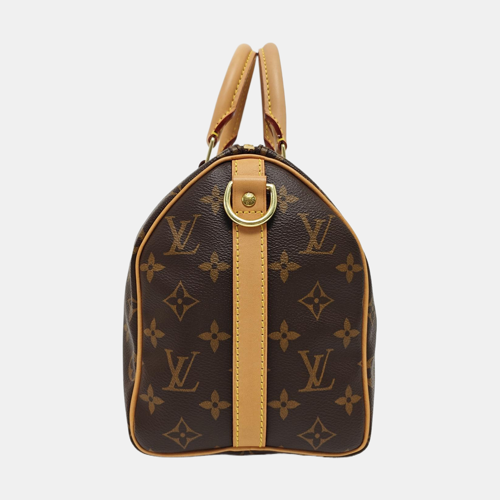 SPEEDY 25 Monogram Coated Canvas Brown