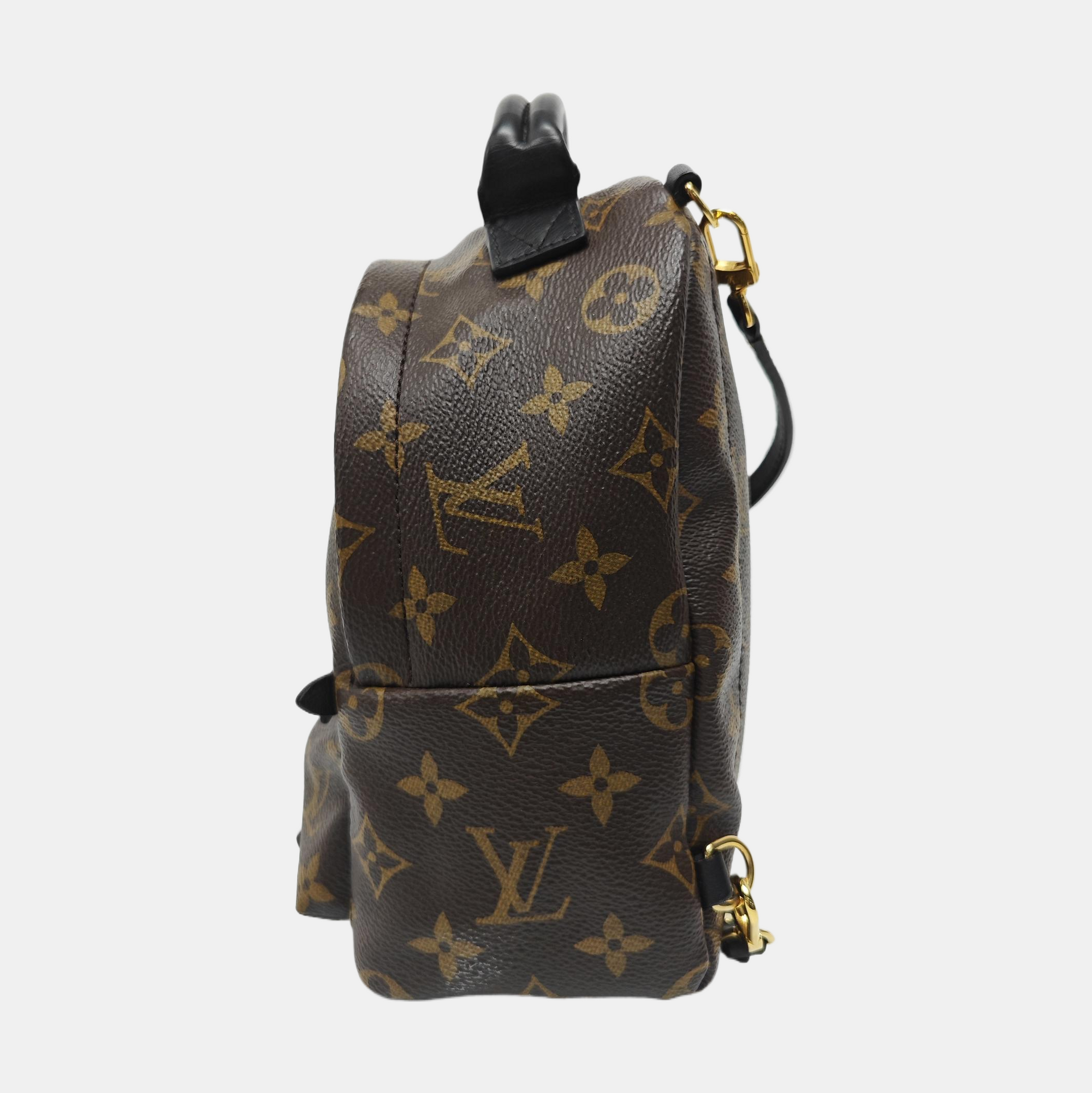 PALM SPRINGS Mini Monogram Coated Canvas Brown