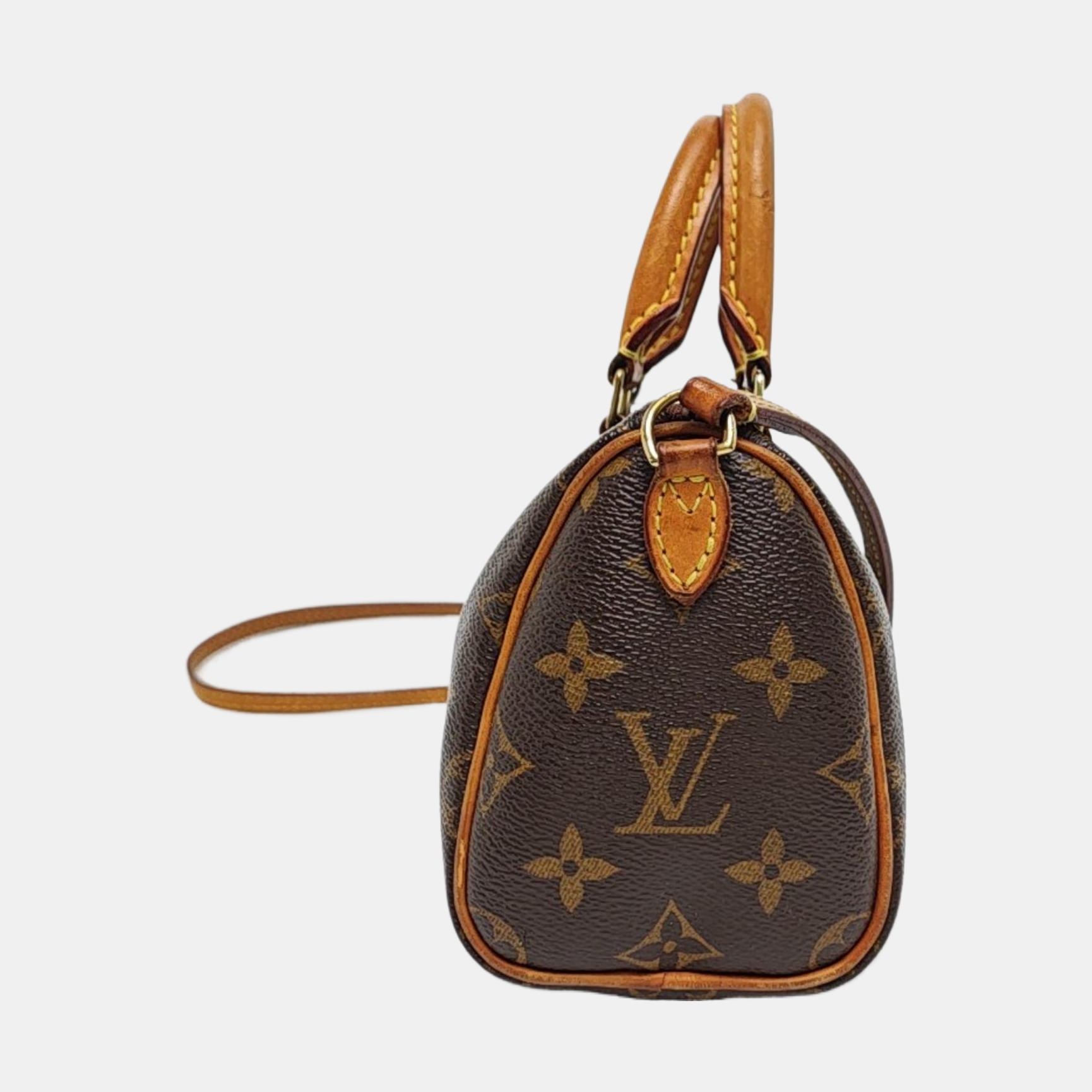 SPEEDY Nano Monogram Coated Canvas Brown