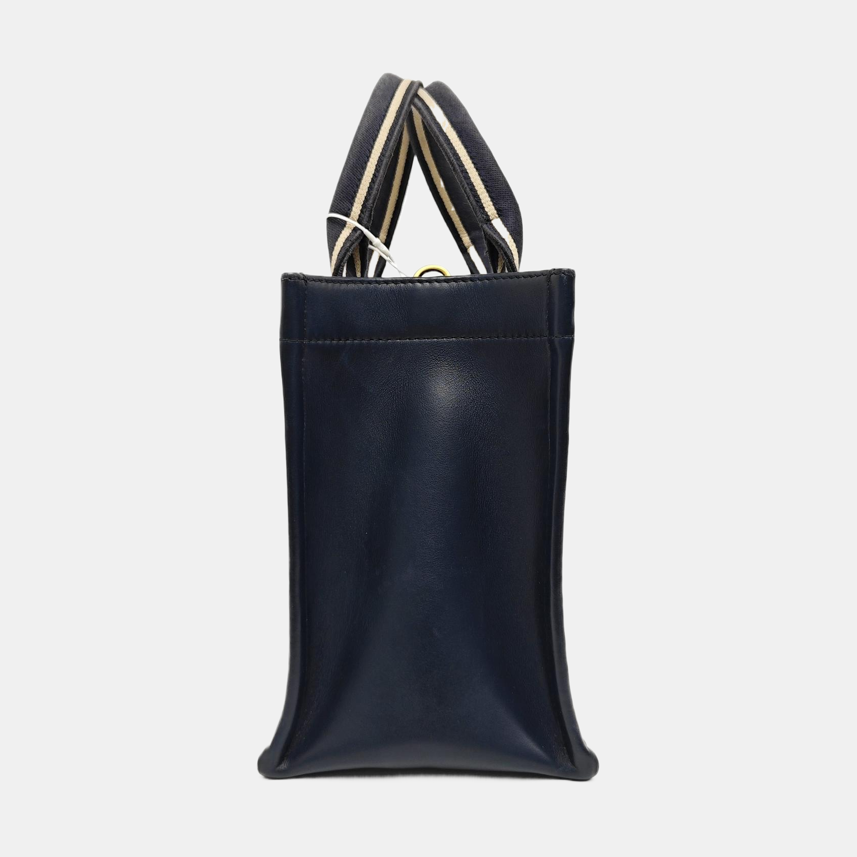 Book Tote Small Oblique Canvas Blue
