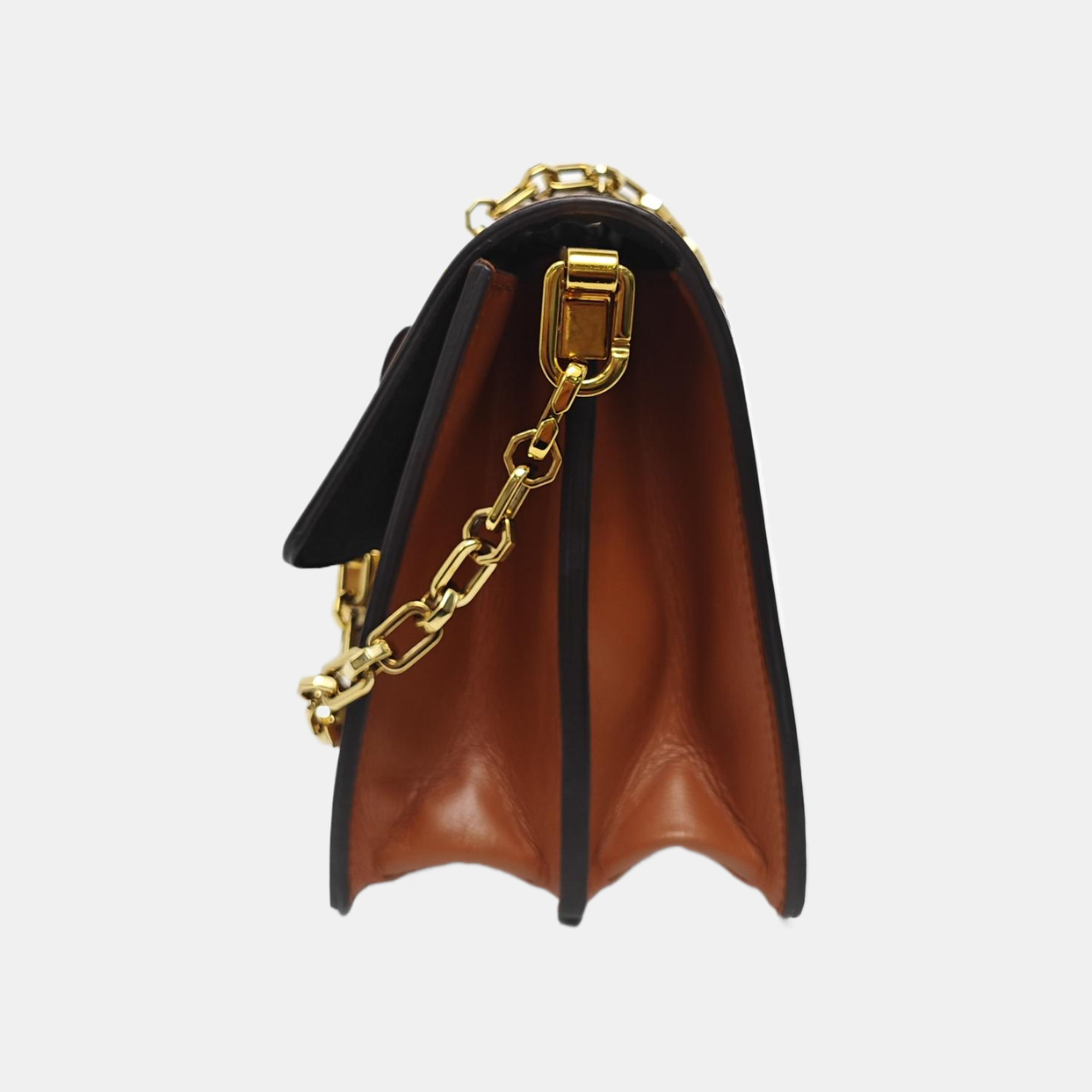 DAUPHINE MM Monogram Coated Canvas Brown