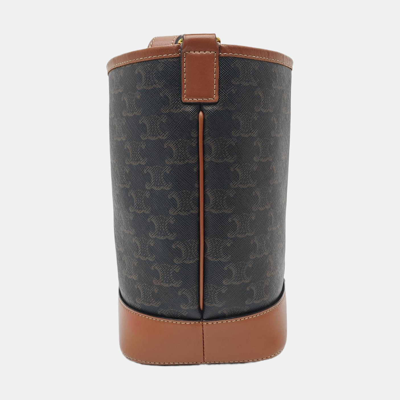 TRIOMPHE CANVAS Small Coated Canvas Brown