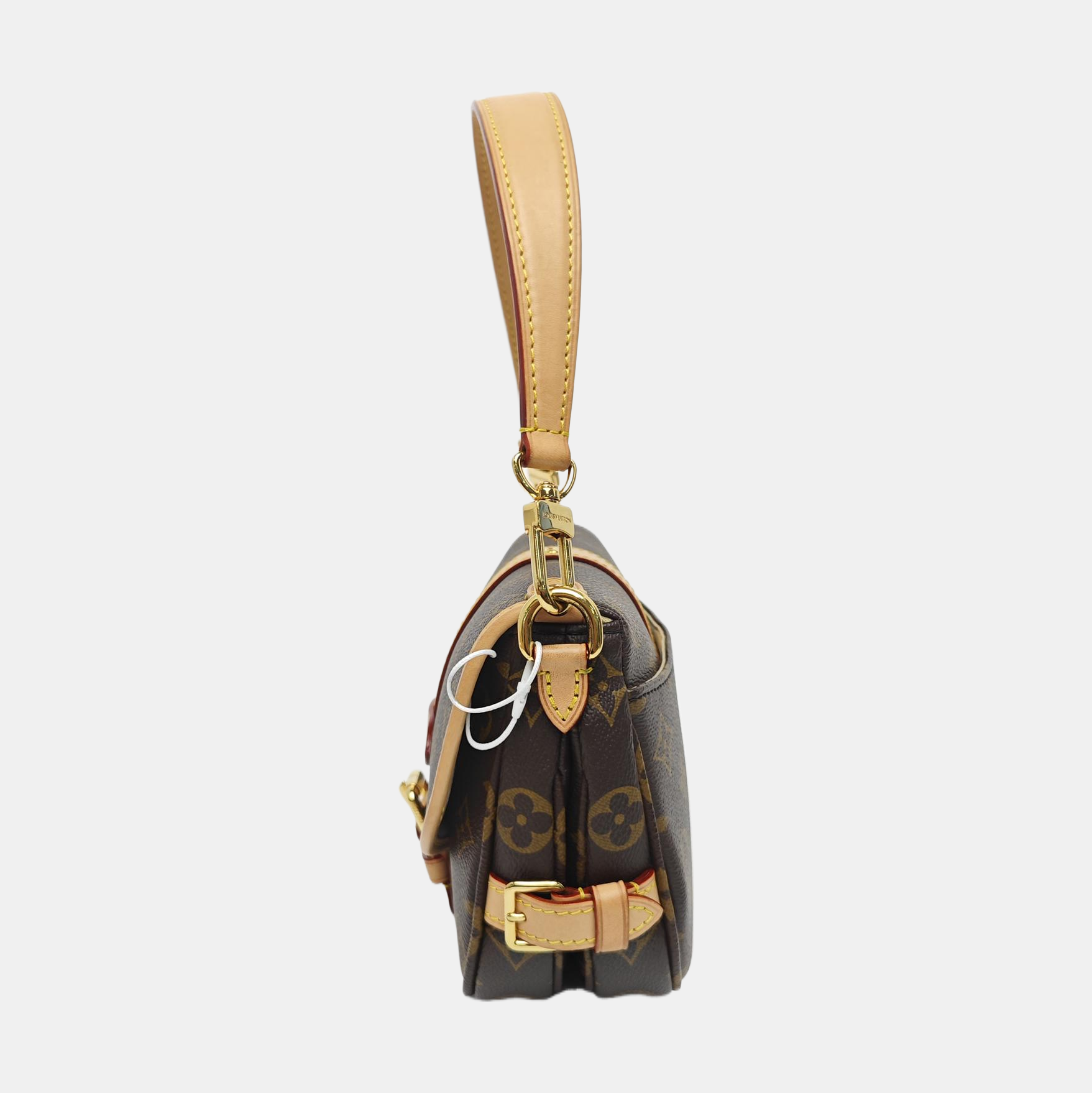 SAUMUR BB Monogram Coated Canvas Brown