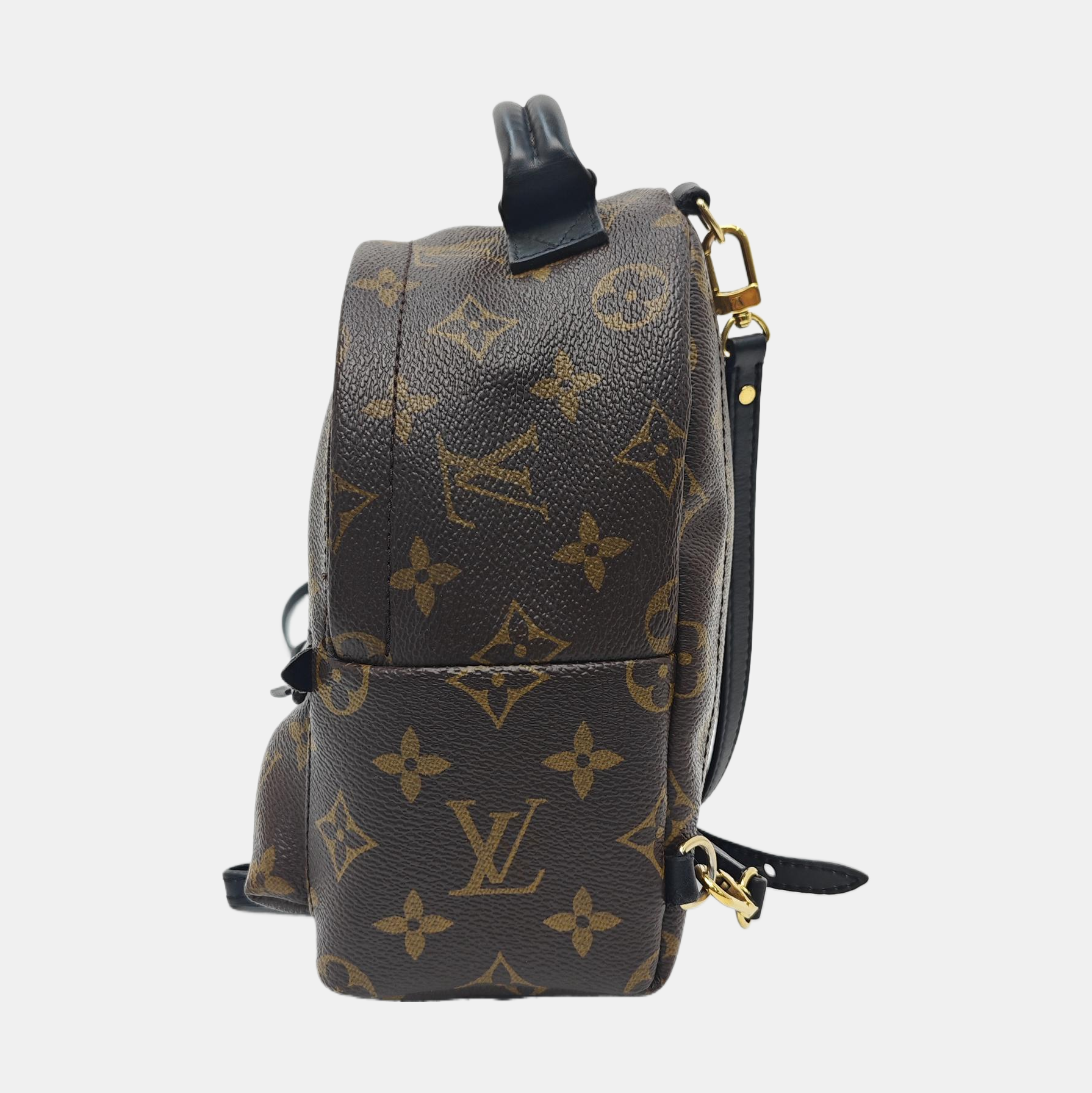 PALM SPRINGS Mini Monogram Coated Canvas Brown