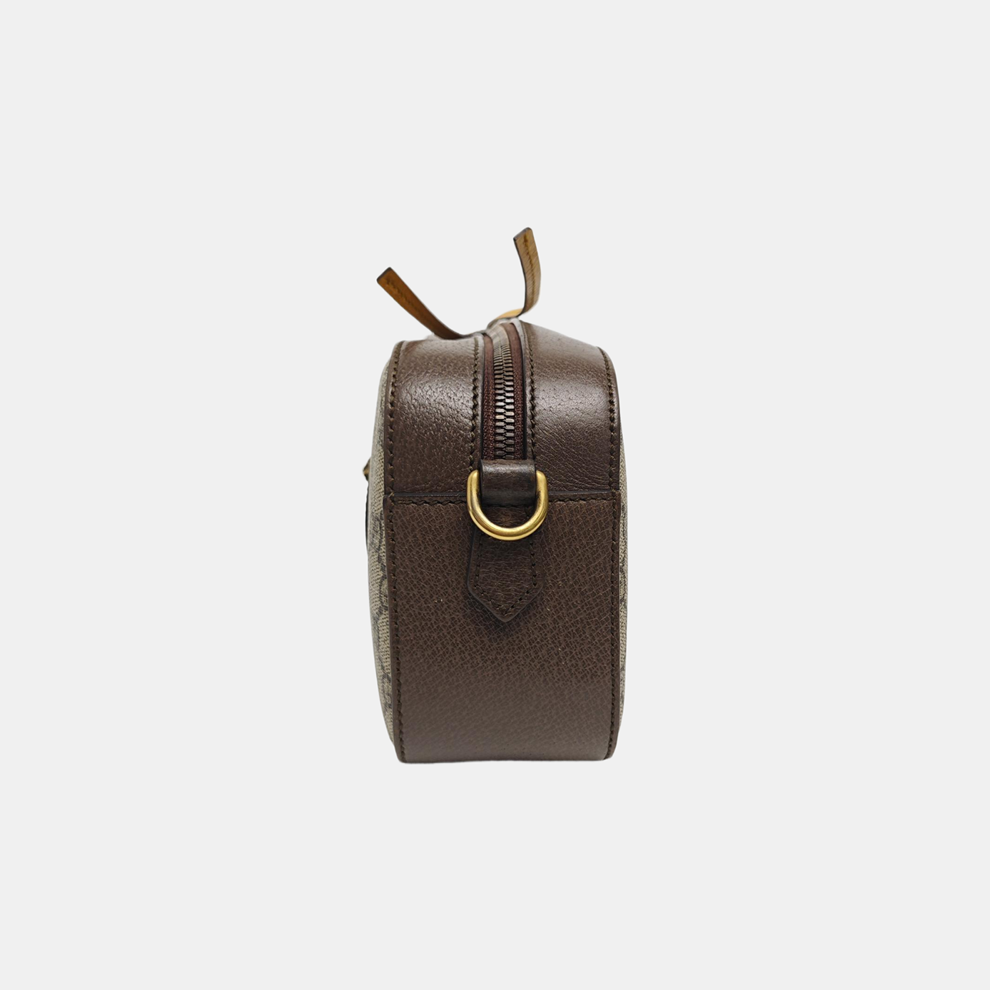 Neo Vintage Monogram Coated Canvas Beige