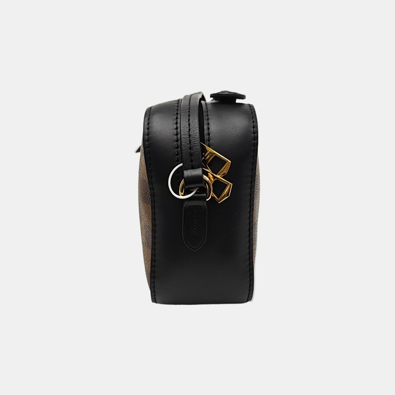 SANTA MONICA Damier Ebene Coated Canvas Brown