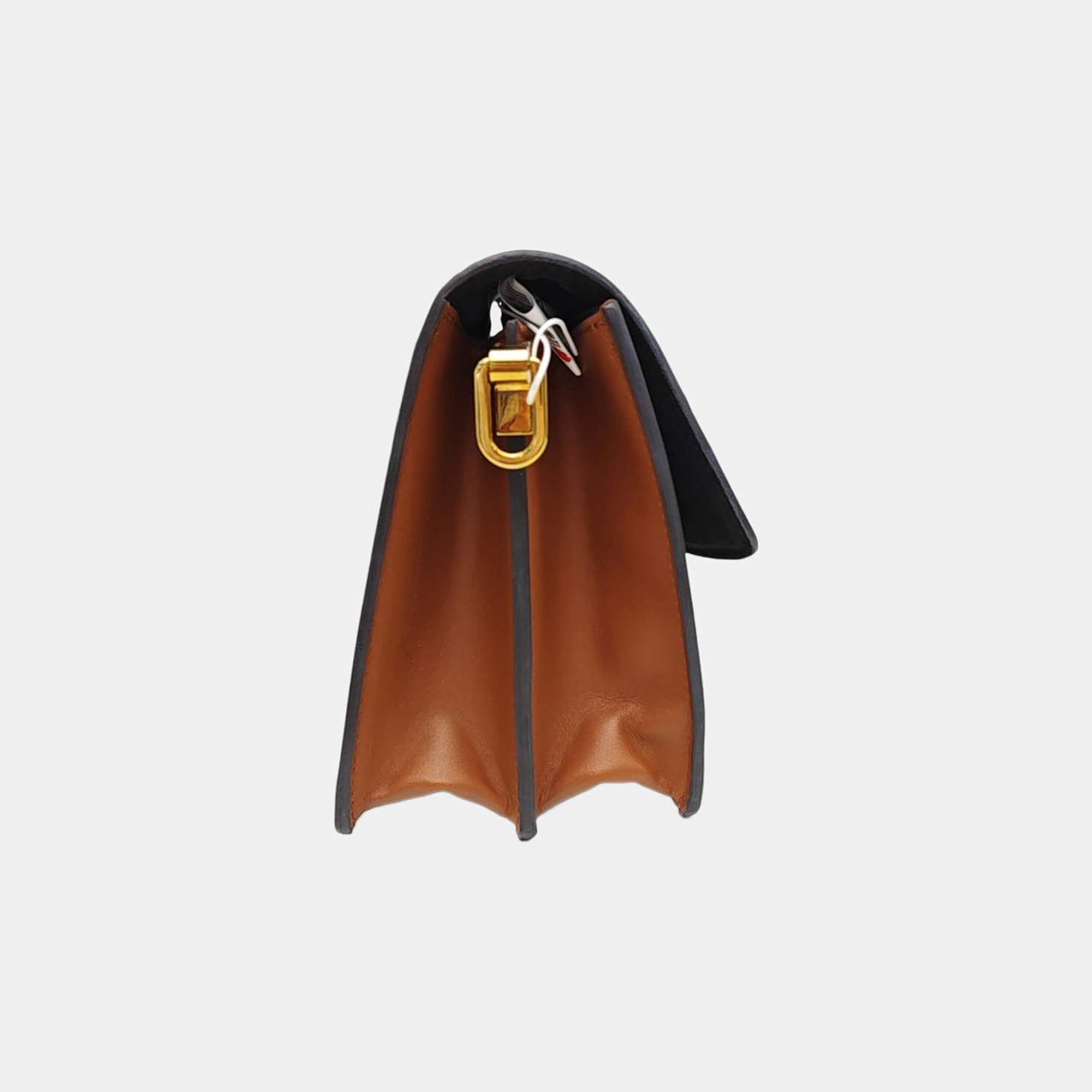 DAUPHINE MM Monogram Coated Canvas Brown