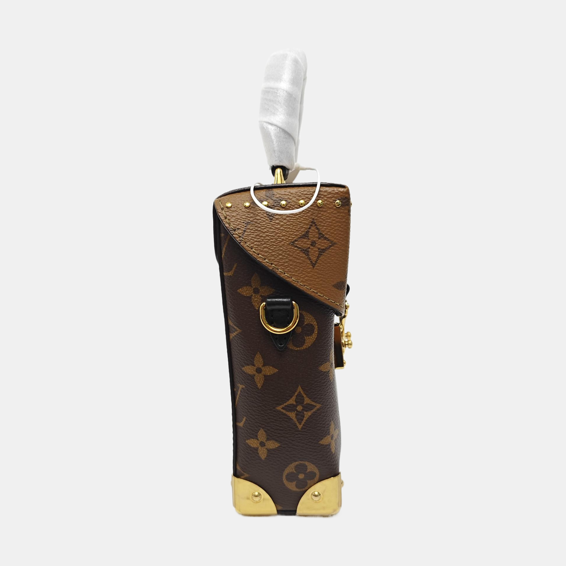 CAMERA BOX Monogram Coated Canvas Brown