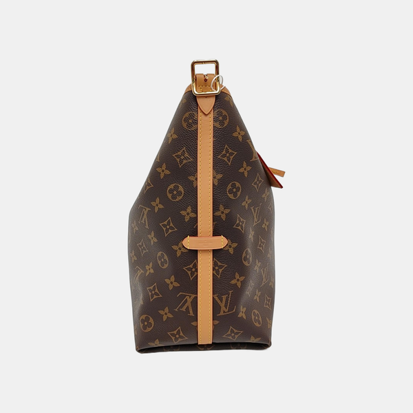 CARRYALL MM Monogram Coated Canvas Brown